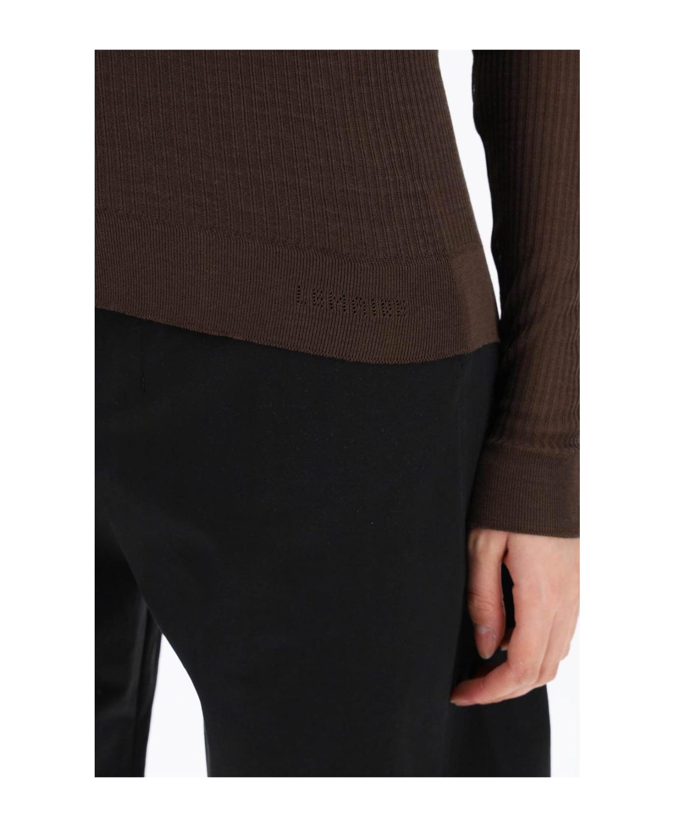 Lemaire Long Sleeved Semi-sheer Ribbed Top - BROWN