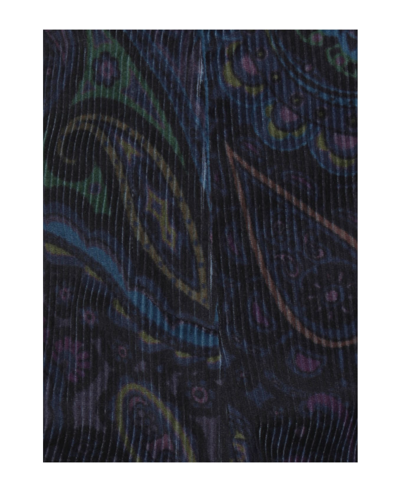 Etro Velvet Pants - MULTICOLOUR
