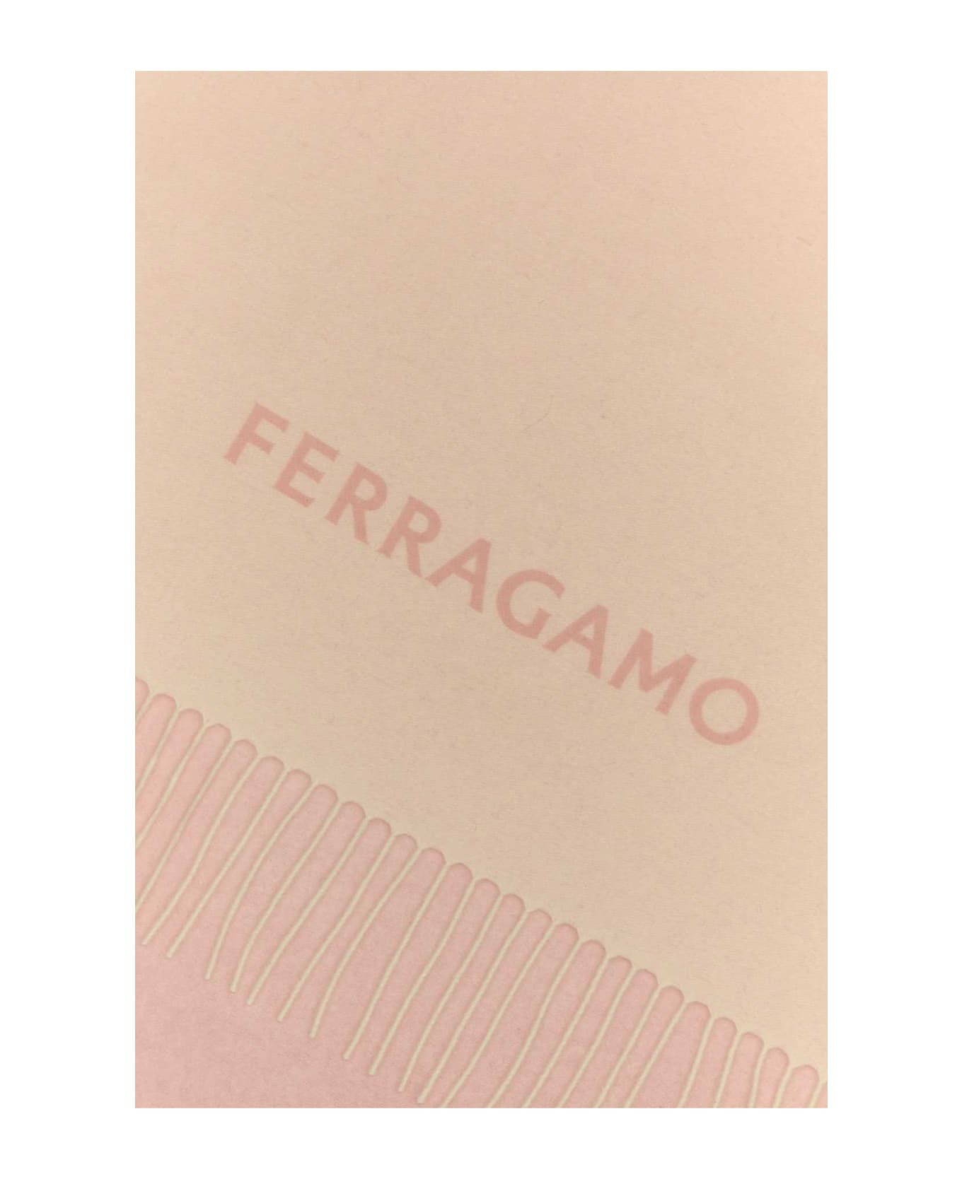 Ferragamo Pink Cashmere Scarf - NYLUNDPINKMASCARPONENYLUND