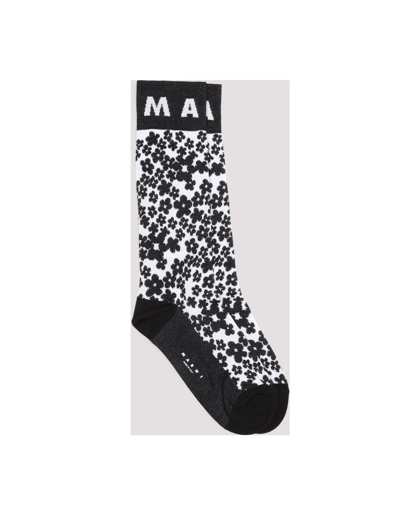 Marni Socks - Black