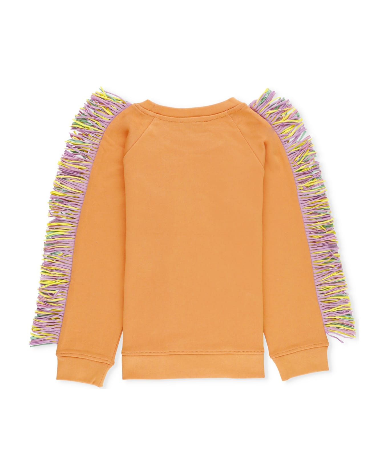 Stella McCartney Sweatshirt With Logo - Orange