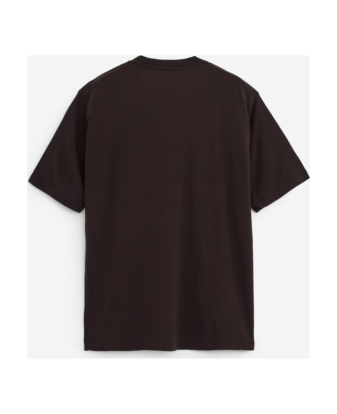 Auralee T-shirt - brown