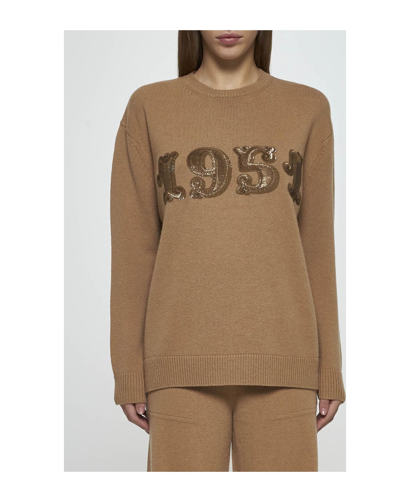 Max Mara Plata Wool And Cashmere Sweater - BROWN