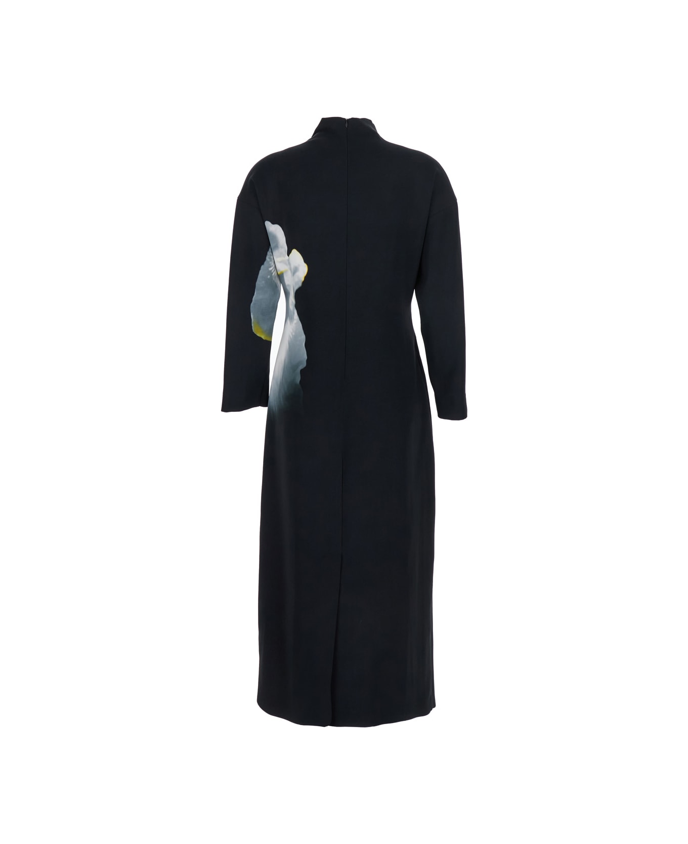 Alberta Ferretti Black Long Dress With High Neck And Floral Print In Cady Woman - Black