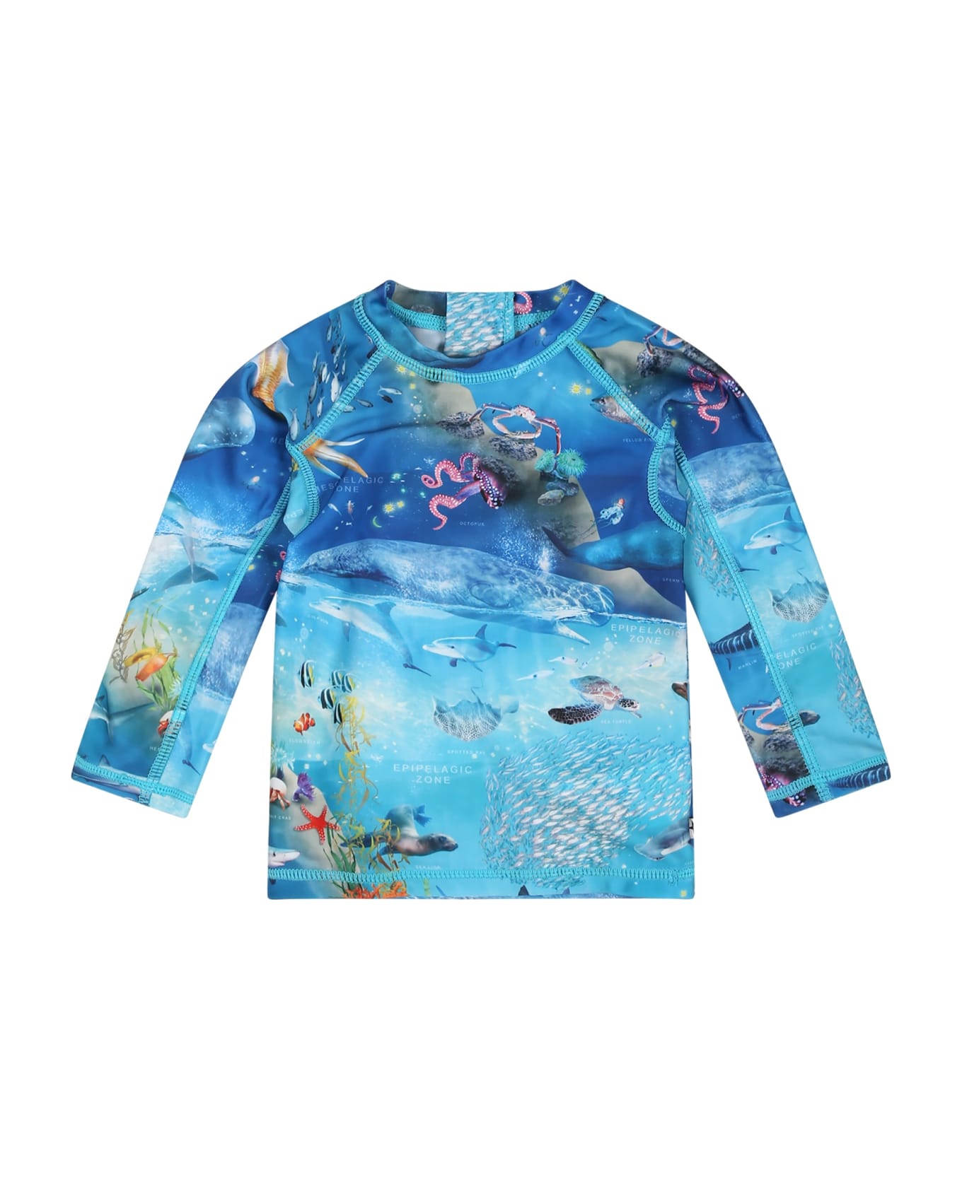 Molo Light Blue T-shirt For Baby Boy With Marine Animals - Light Blue Tシャツ＆ポロシャツ