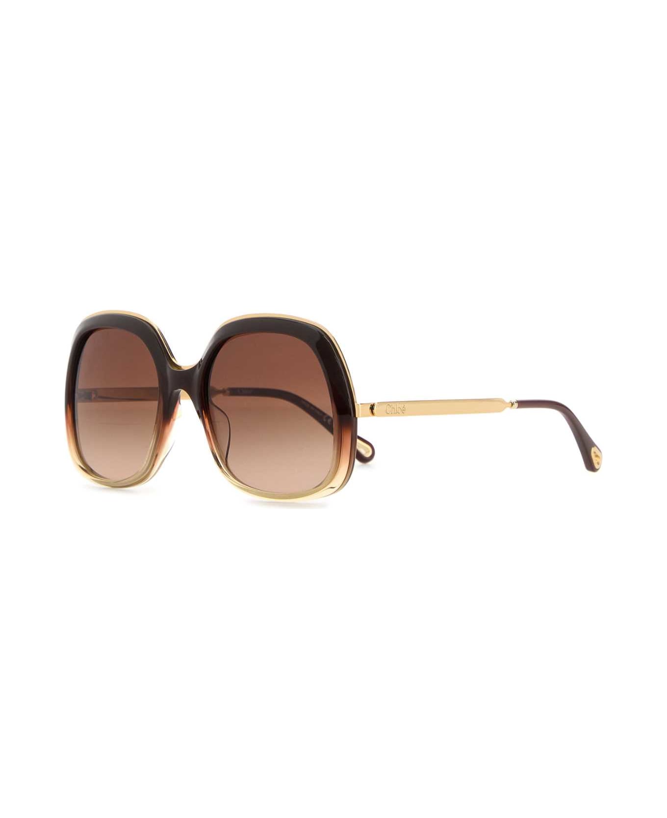 Chloé Brown Acetate Sunglasses - BROWNGOLDBROWN