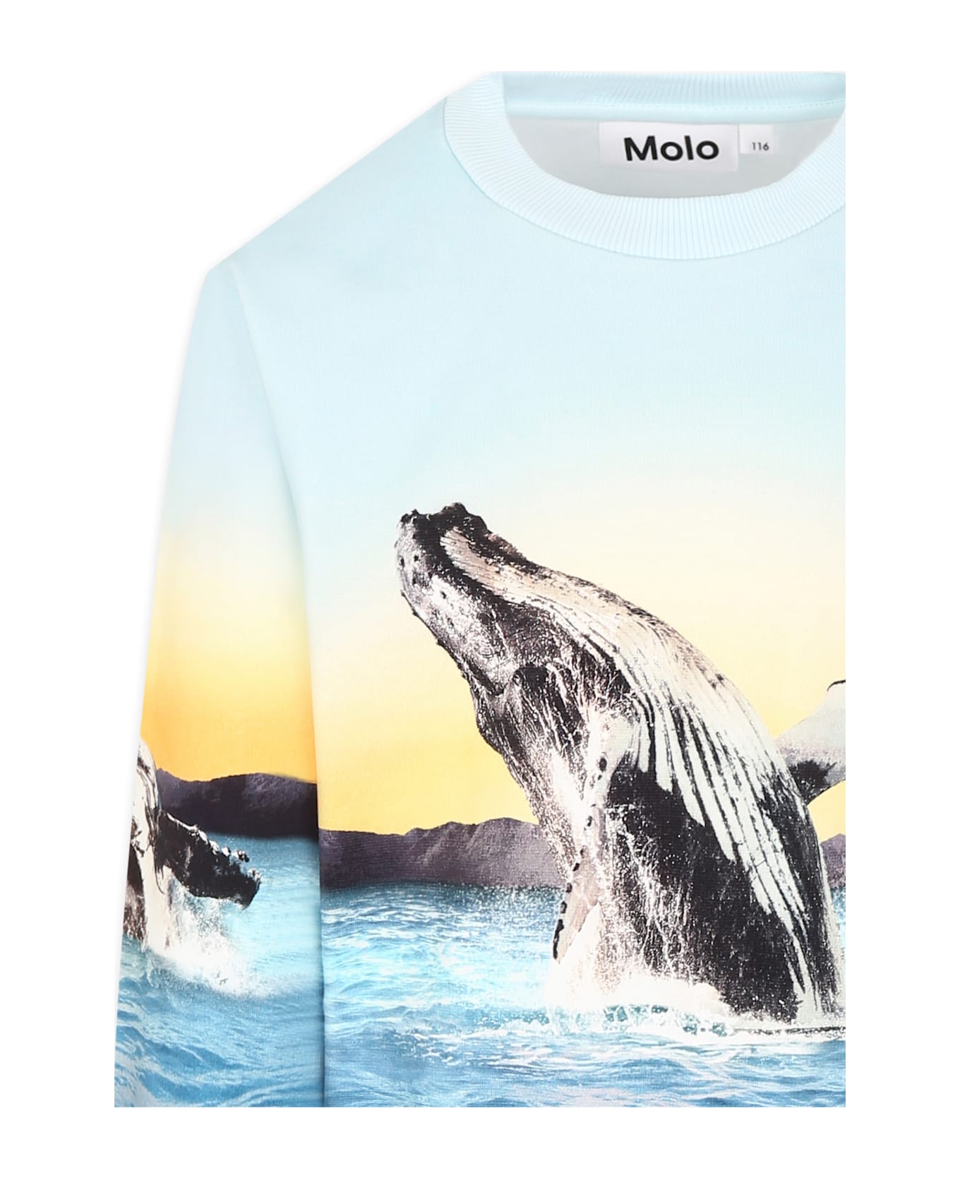 Molo Light Blue Sweatshirt For Boy With Whale - Light Blue