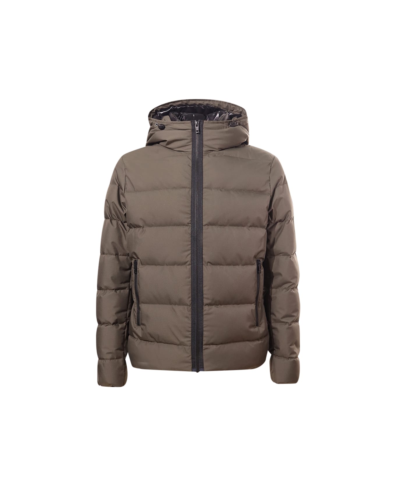 Fay Jacket - Foresta