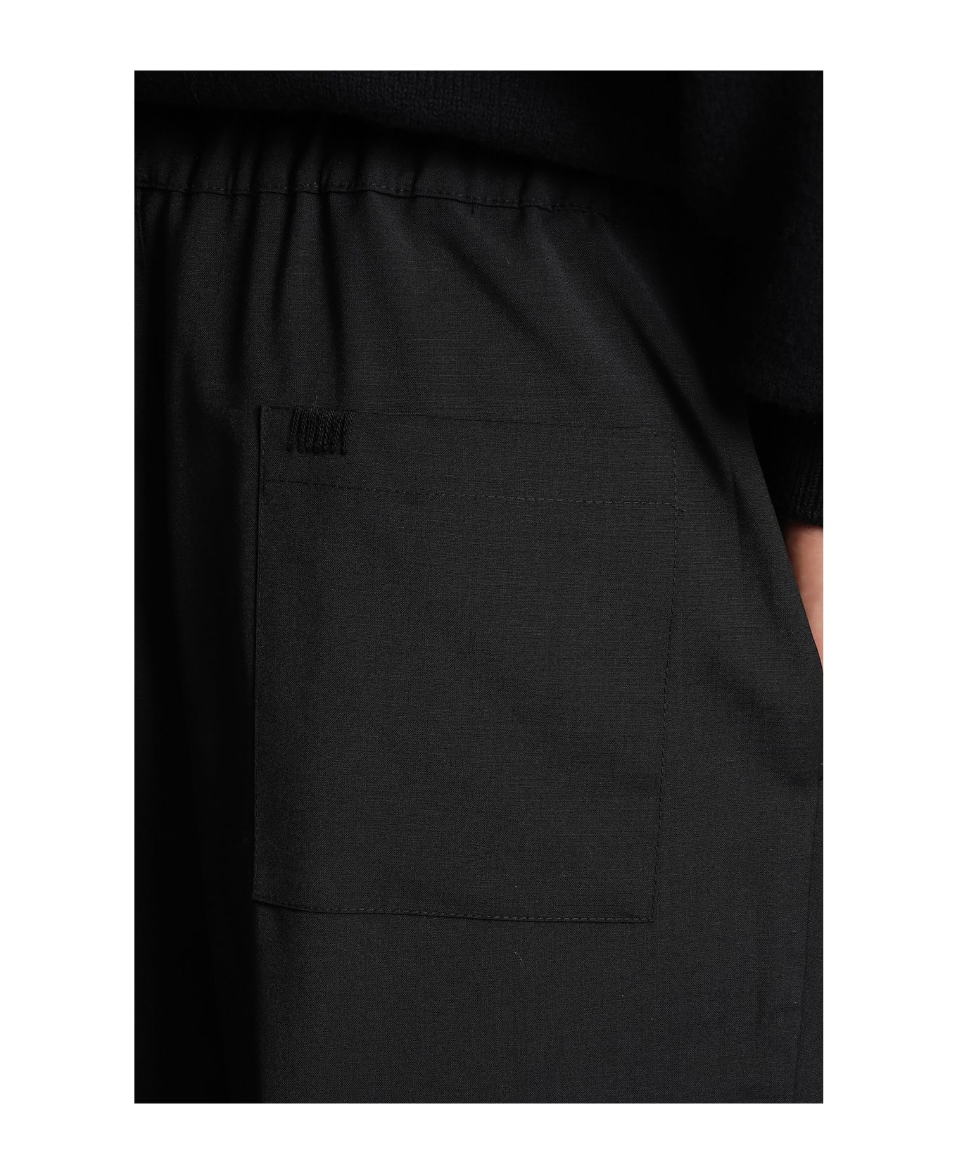 Laneus Pants In Black Wool - black