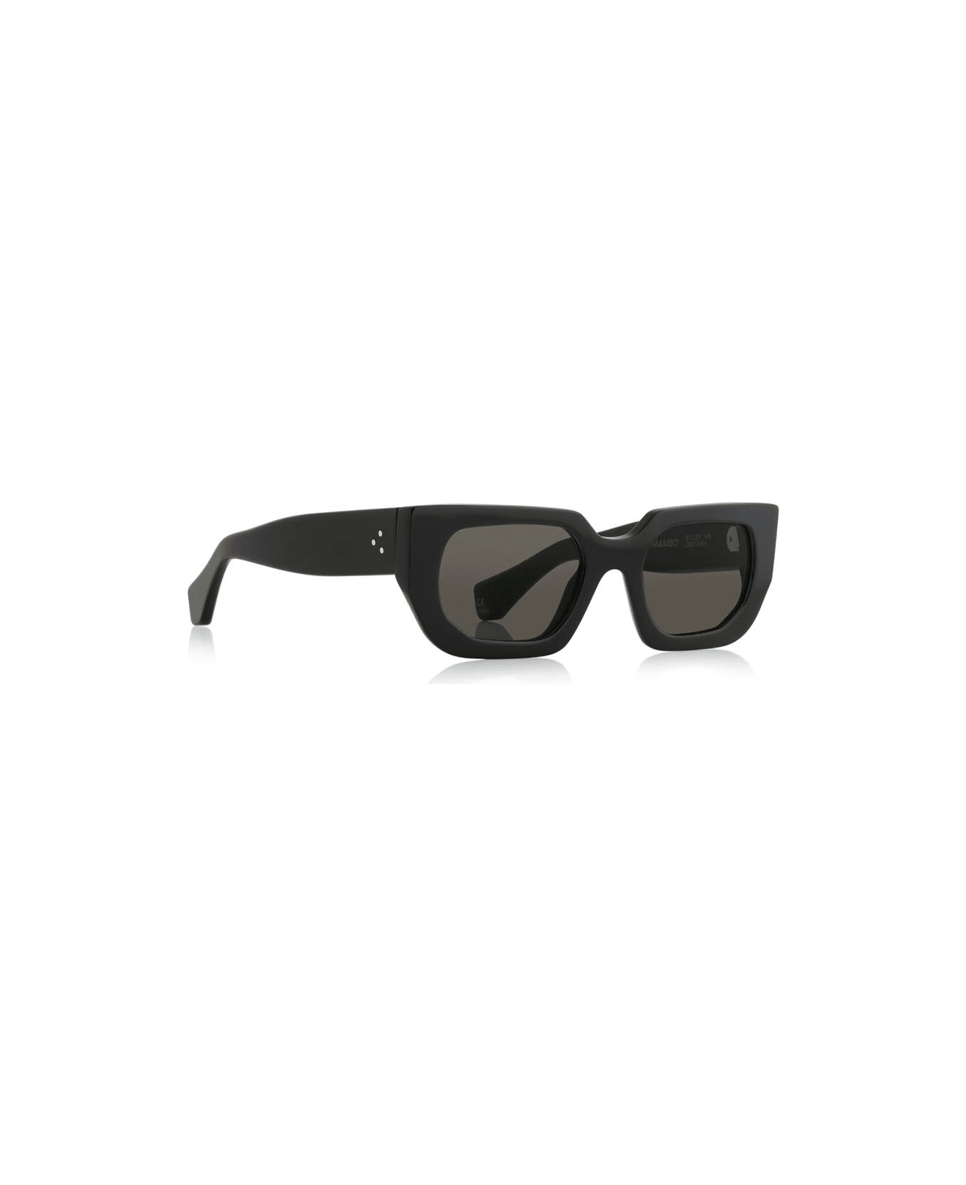 Robert La Roche Sunglasses - Nero/Nero サングラス