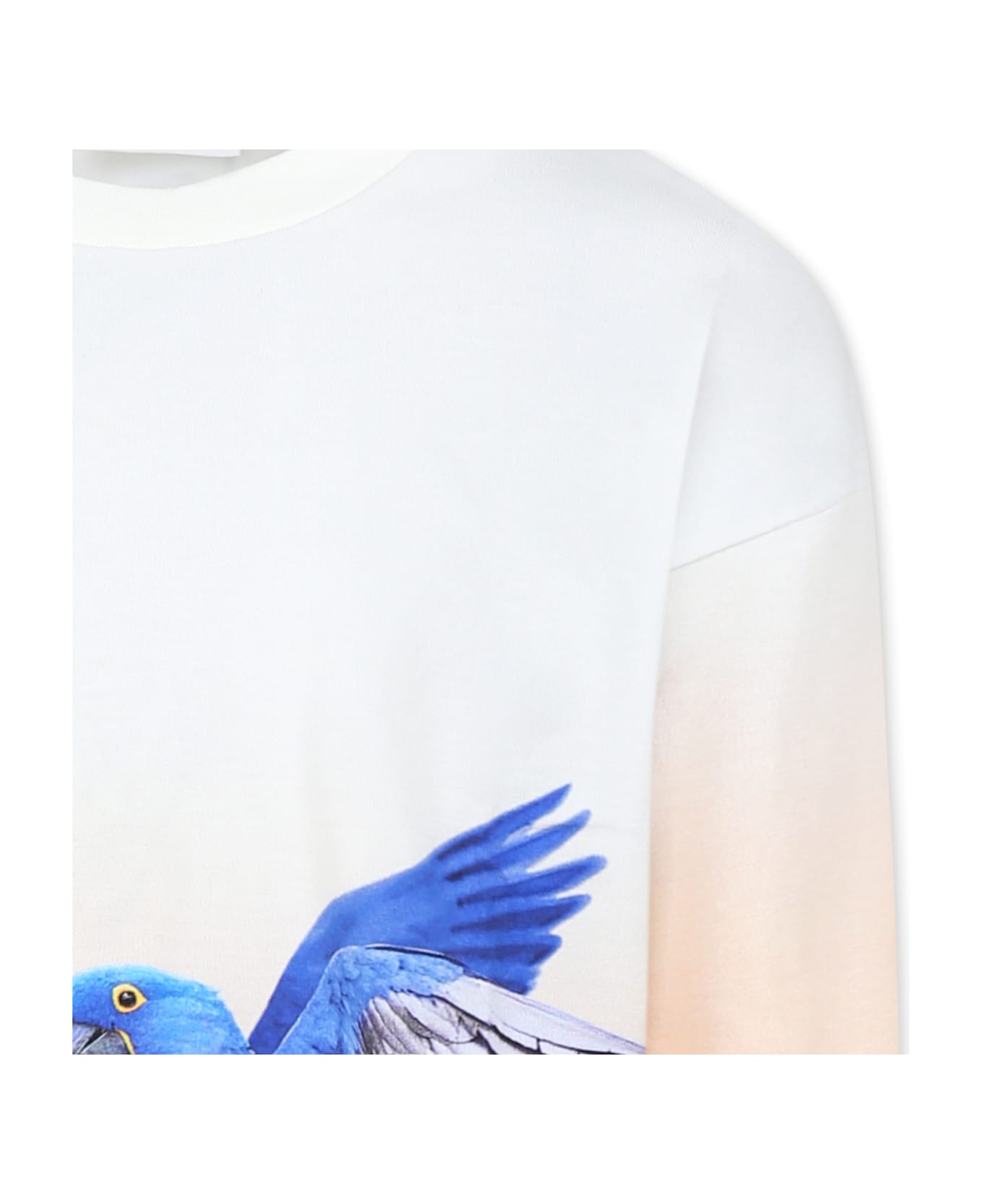 Molo Ivory T-shirt For Girl With Parrots Print - Ivory