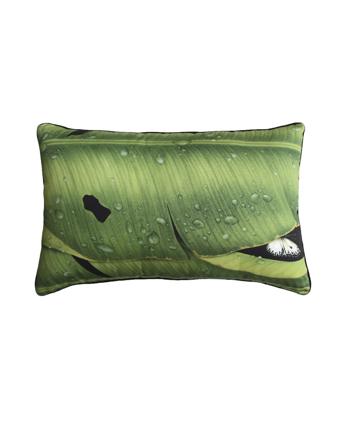 Taitù Rectangular Cushion - Freedom Collection - Green