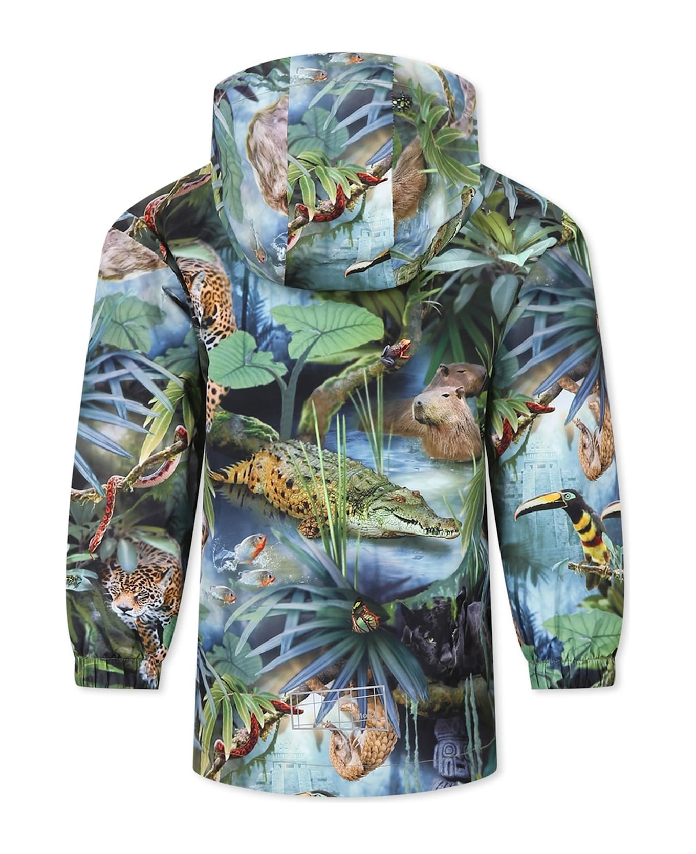 Molo Geen Windbreaker Jacket For Kids With Jungle Print - Green