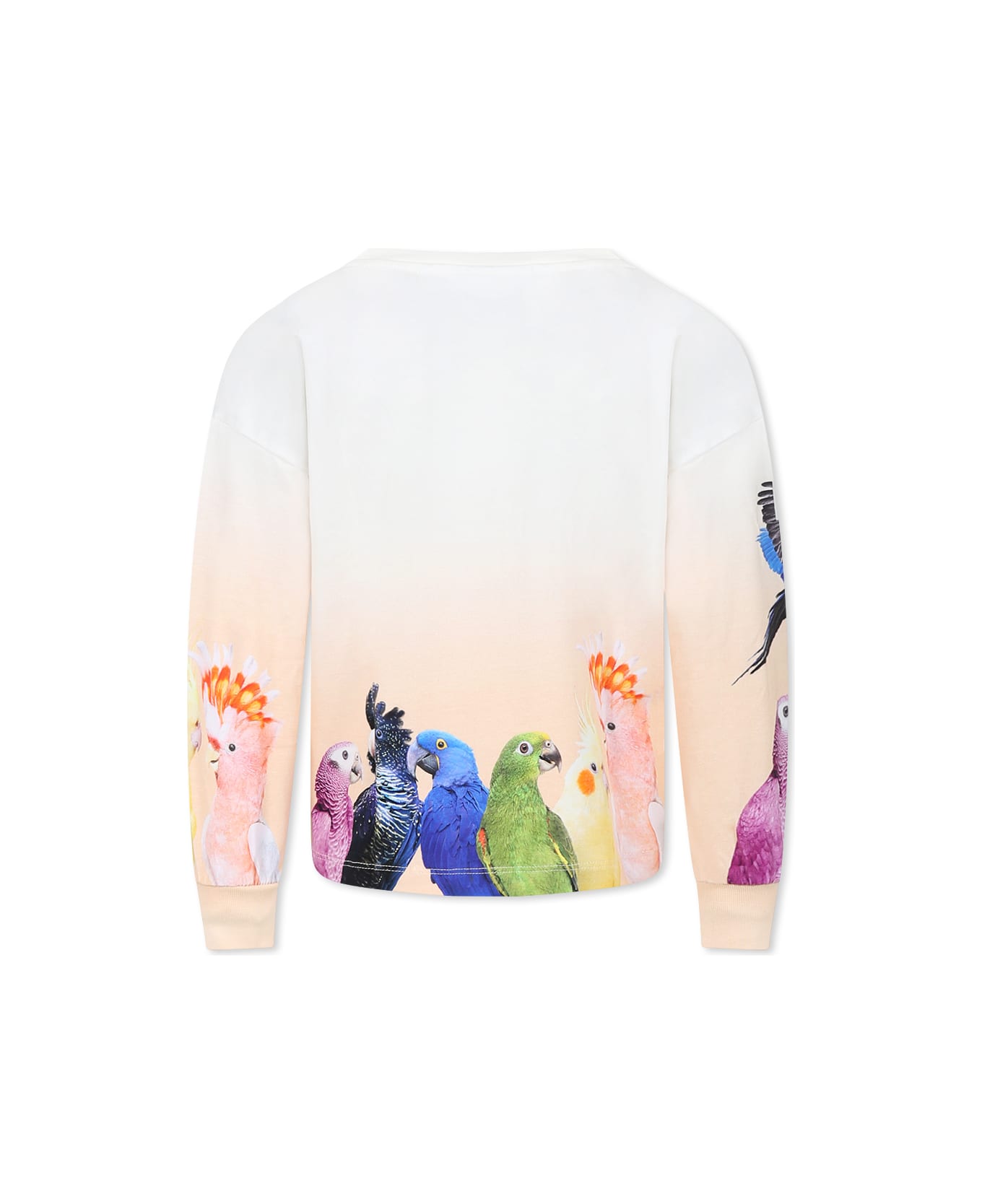Molo Ivory T-shirt For Girl With Parrots Print - Ivory