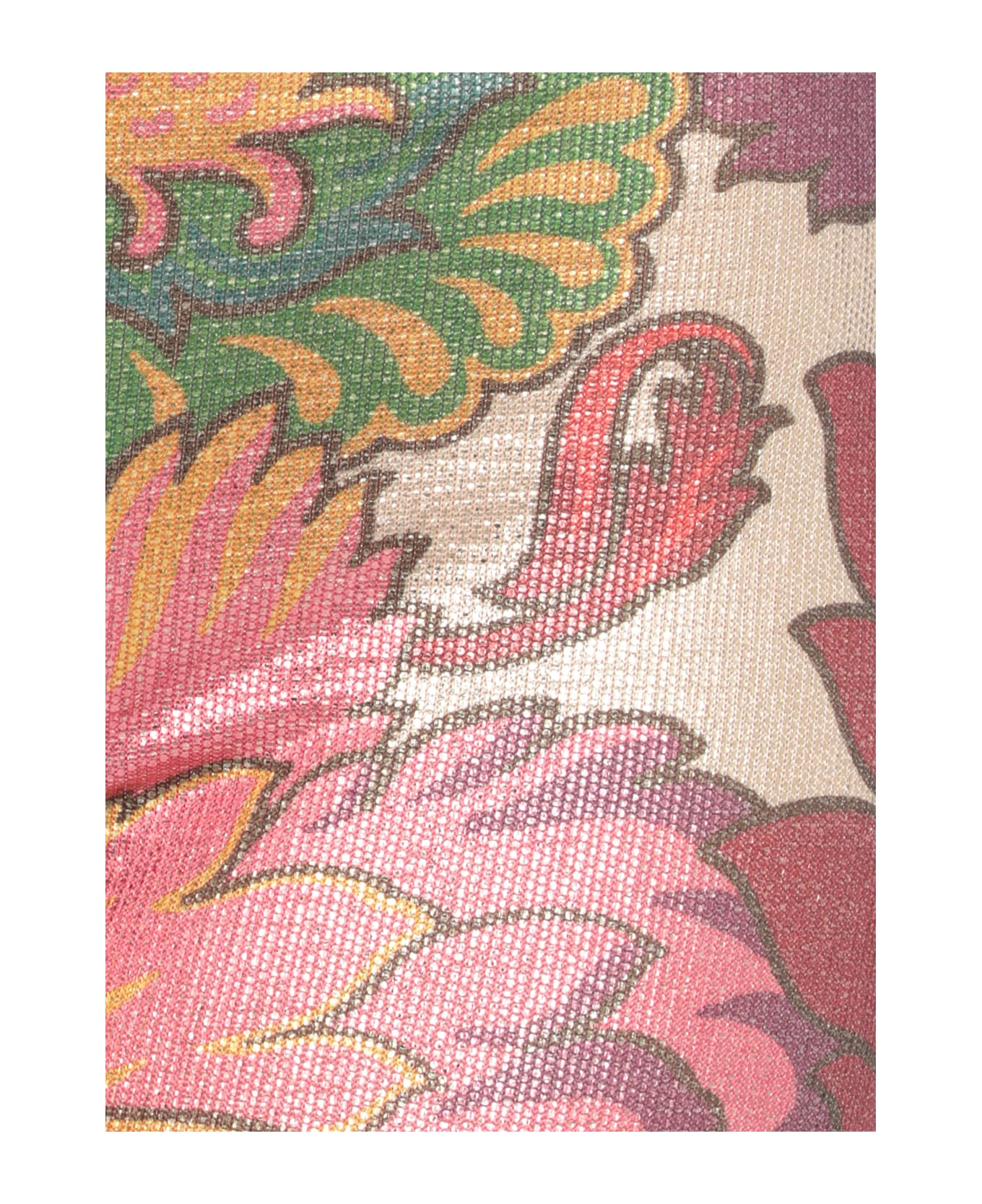 Etro Floral Pants - MultiColour