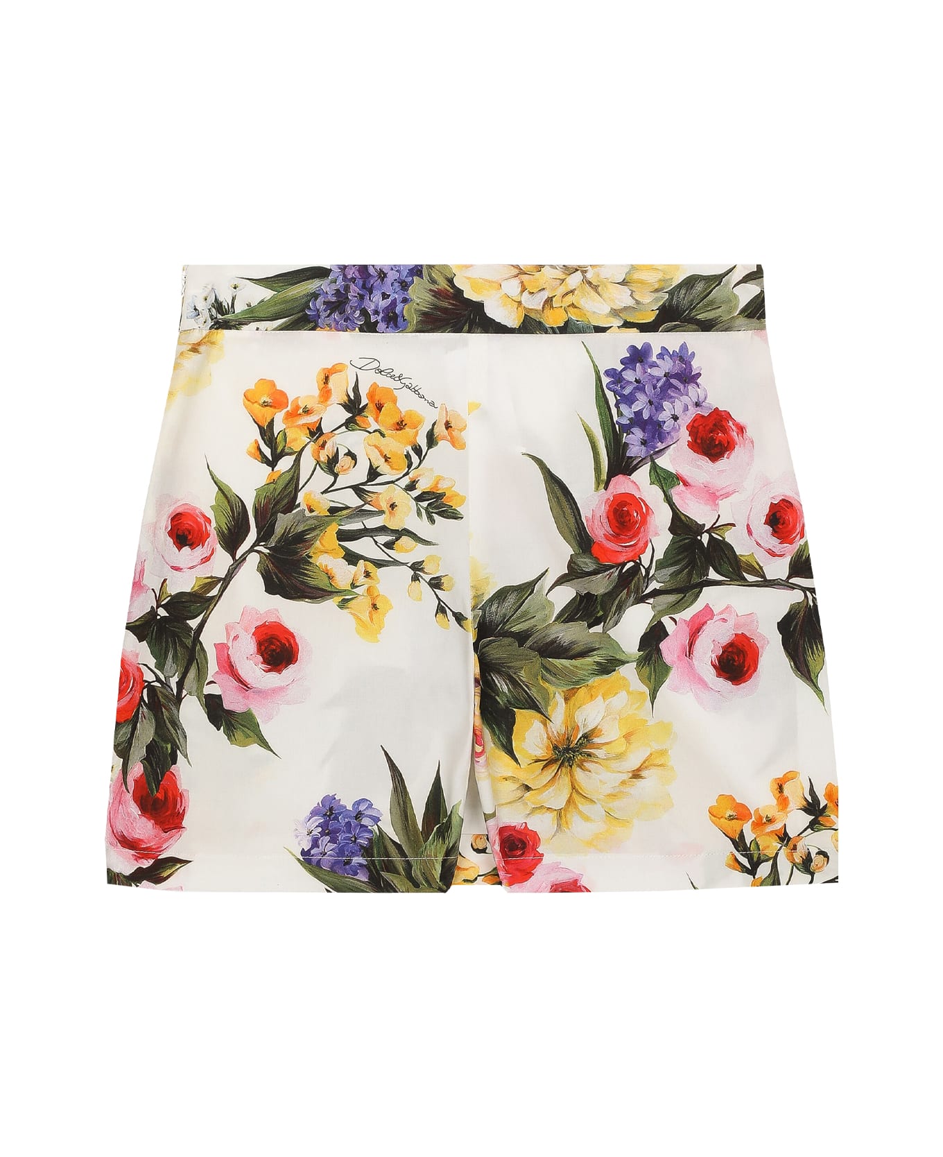 Dolce & Gabbana Garden Print Poplin Shorts - Multicolor