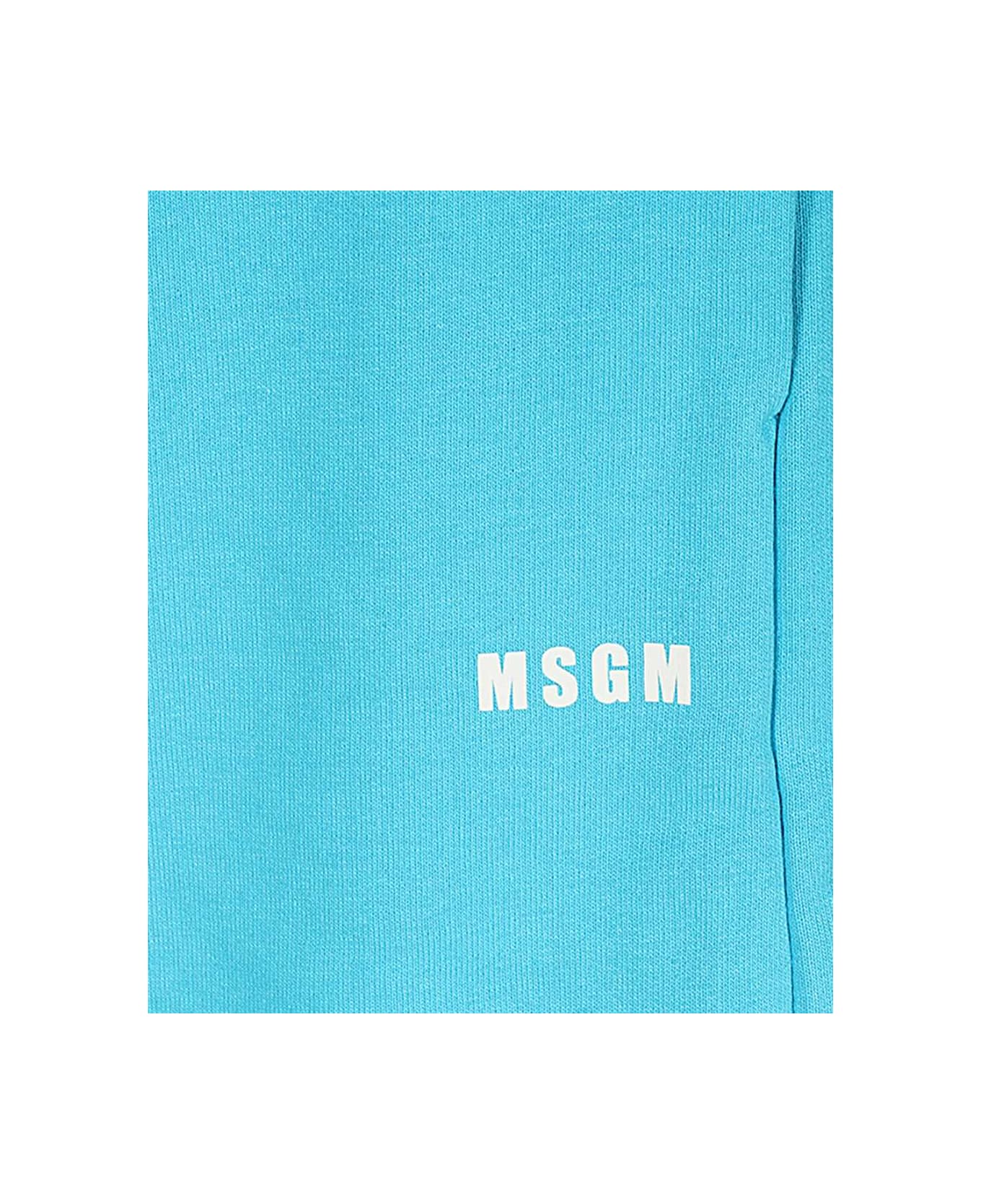 MSGM Cotton Bermuda Shorts - turquoise