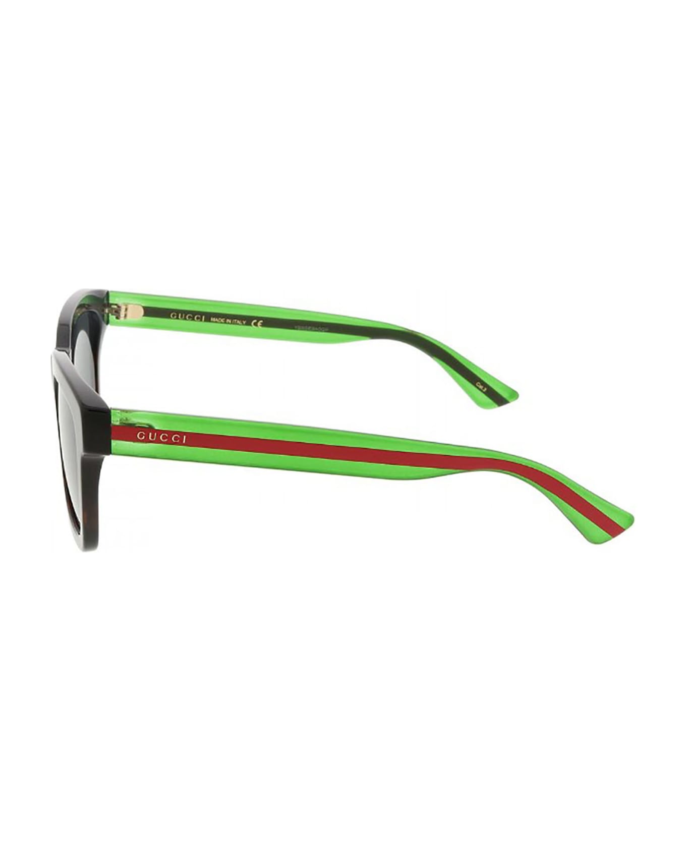 Gucci Eyewear Gg0001sn Sunglasses - 003 havana green grey