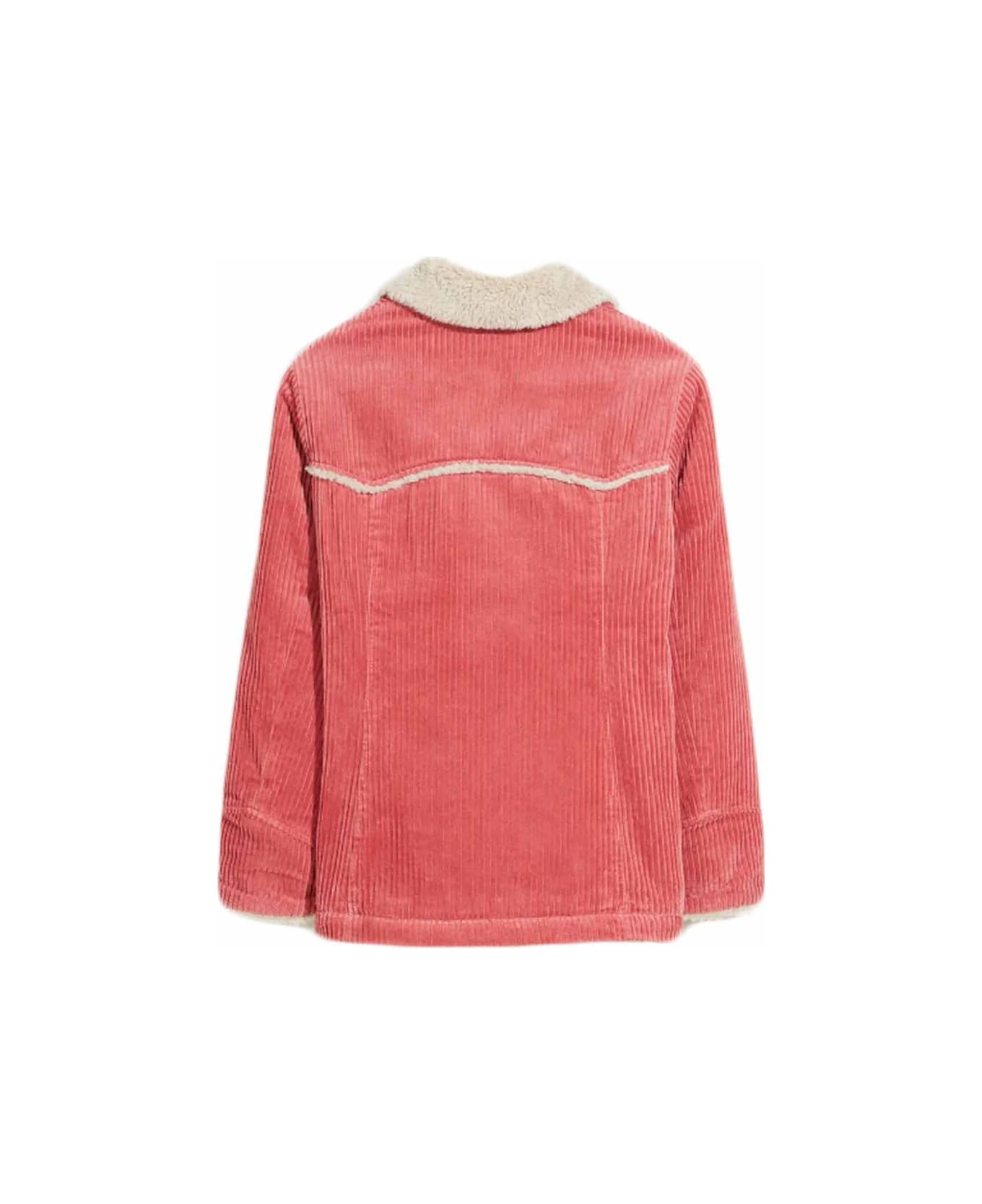 Bellerose Short Coat - PINK