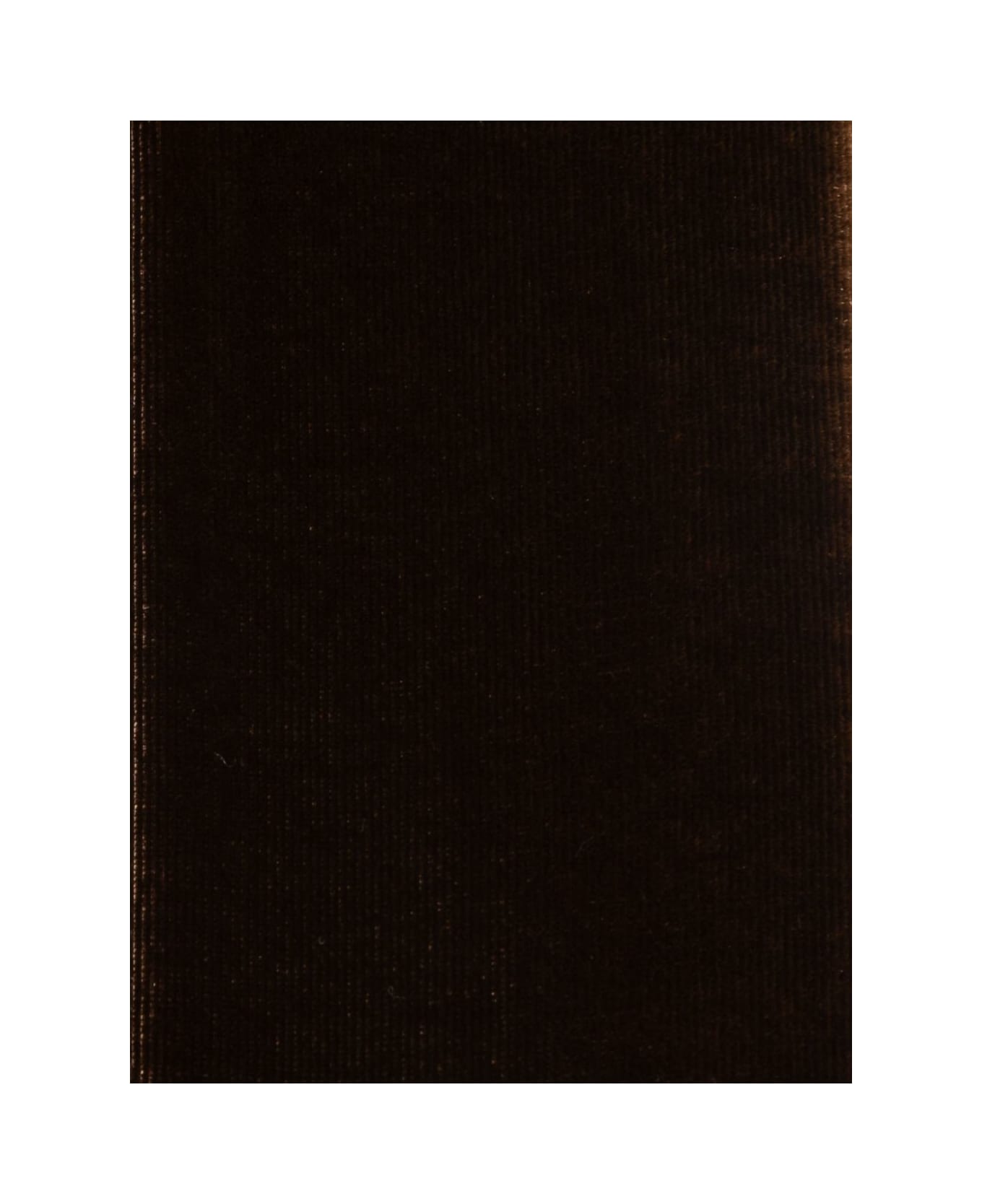 Emporio Armani Silk Blend Scarf - Brown