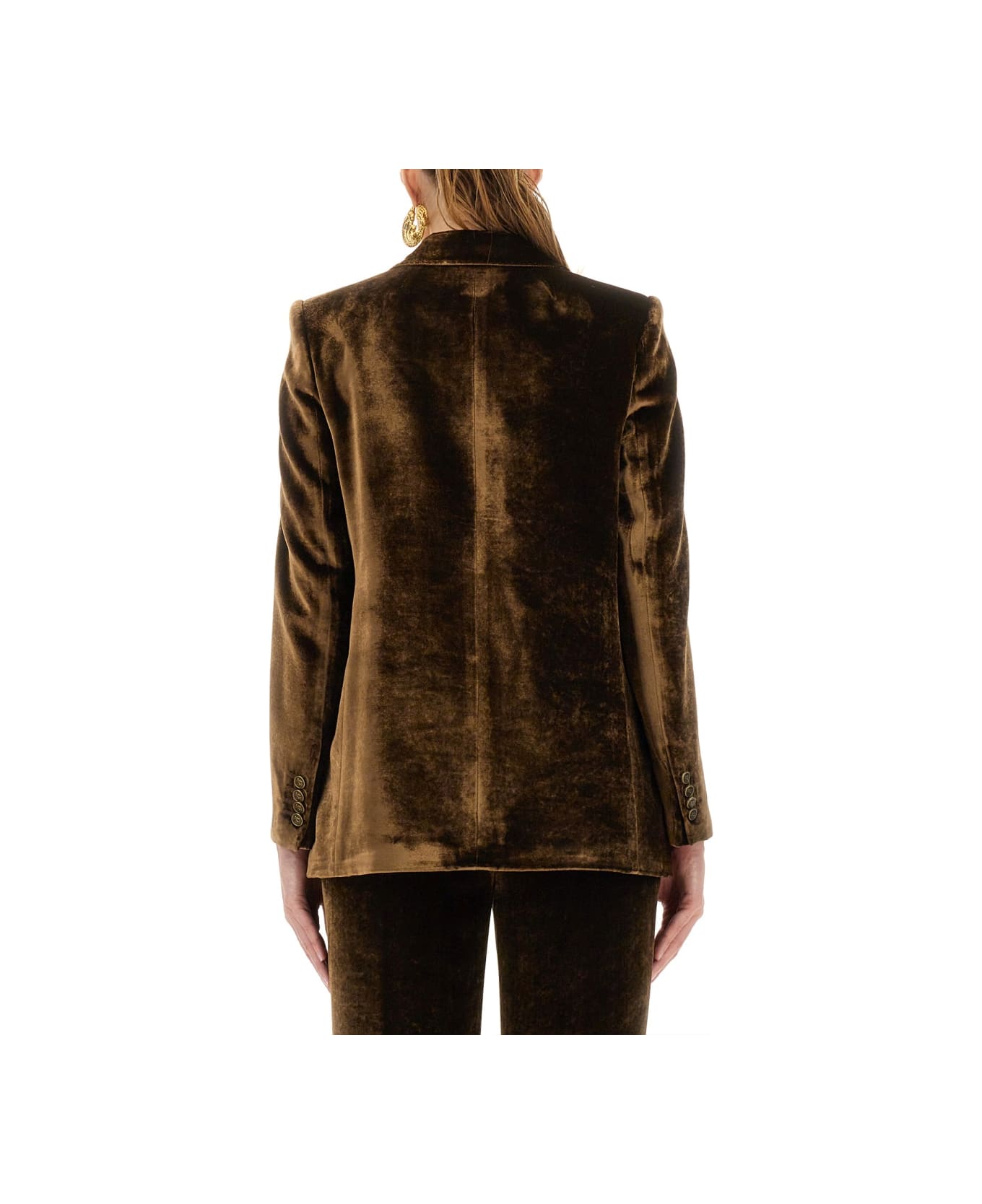 Etro Velvet Jacket - BROWN