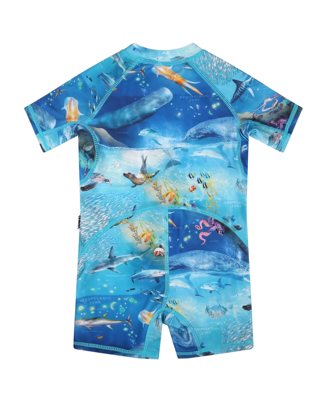 Molo Light Blue Swimsuit For Baby Boy With Marine Animals - Light Blue Tシャツ＆ポロシャツ