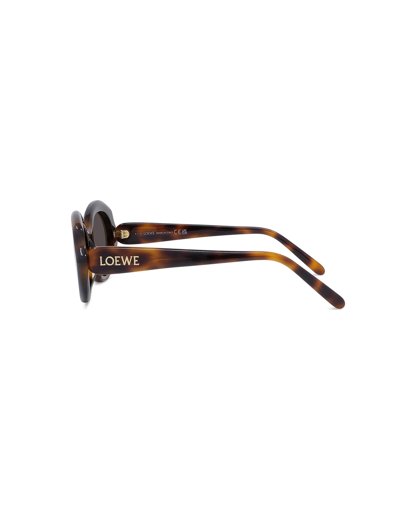 Loewe Lw40147i - Dark Havana Sunglasses - Dark Havana