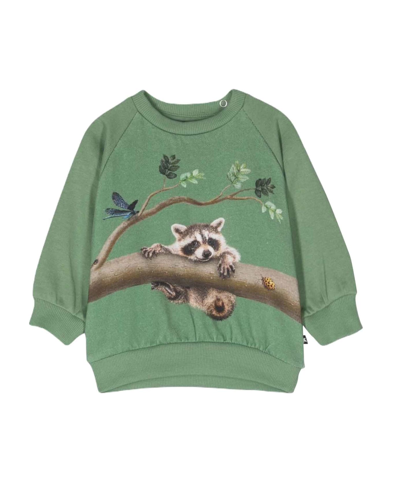 Molo Green Sweatshirt Unisex Kids - Verde ニットウェア＆スウェットシャツ