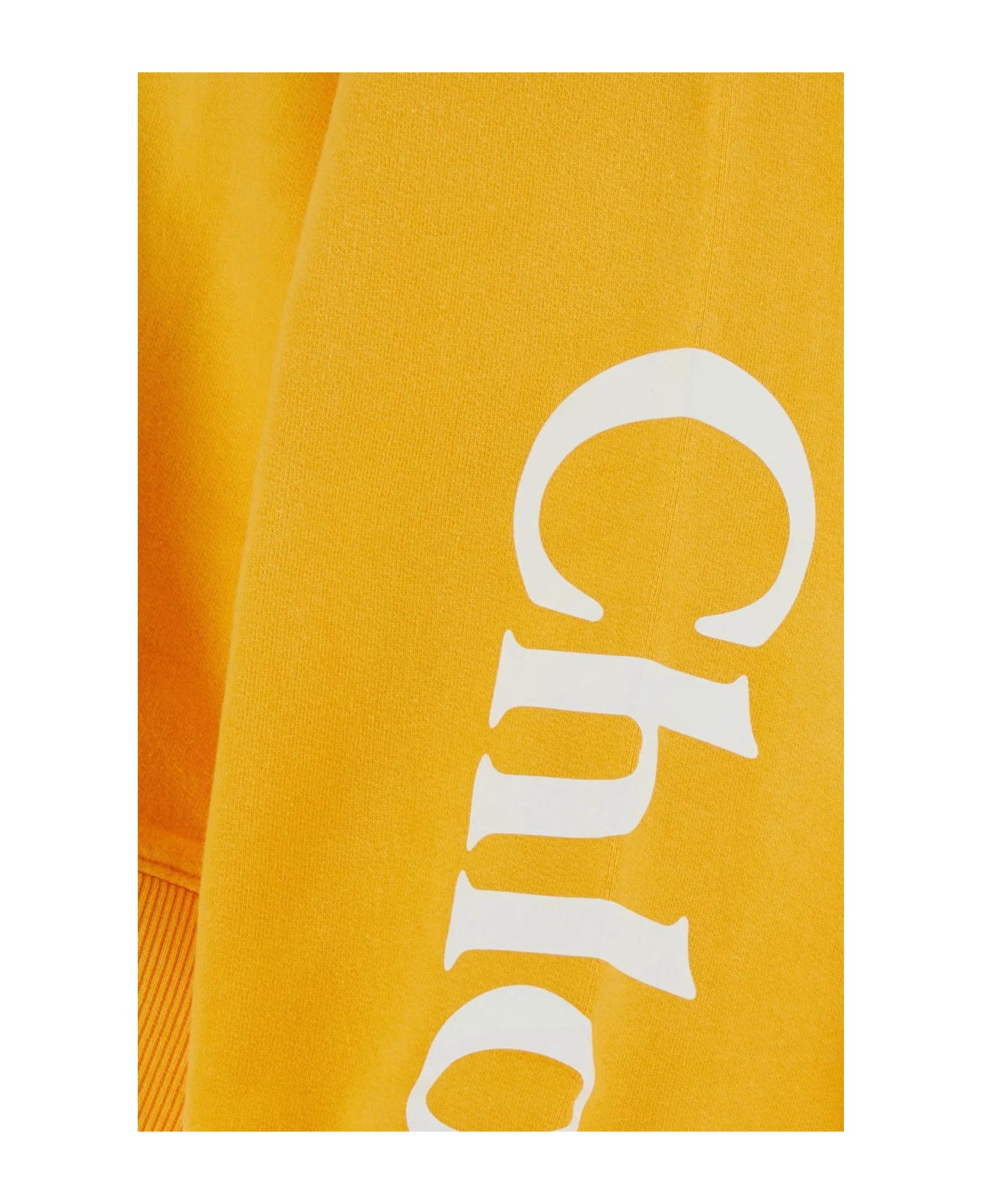 Chloé Cotton Oversize Sweatshirt - Multicolor