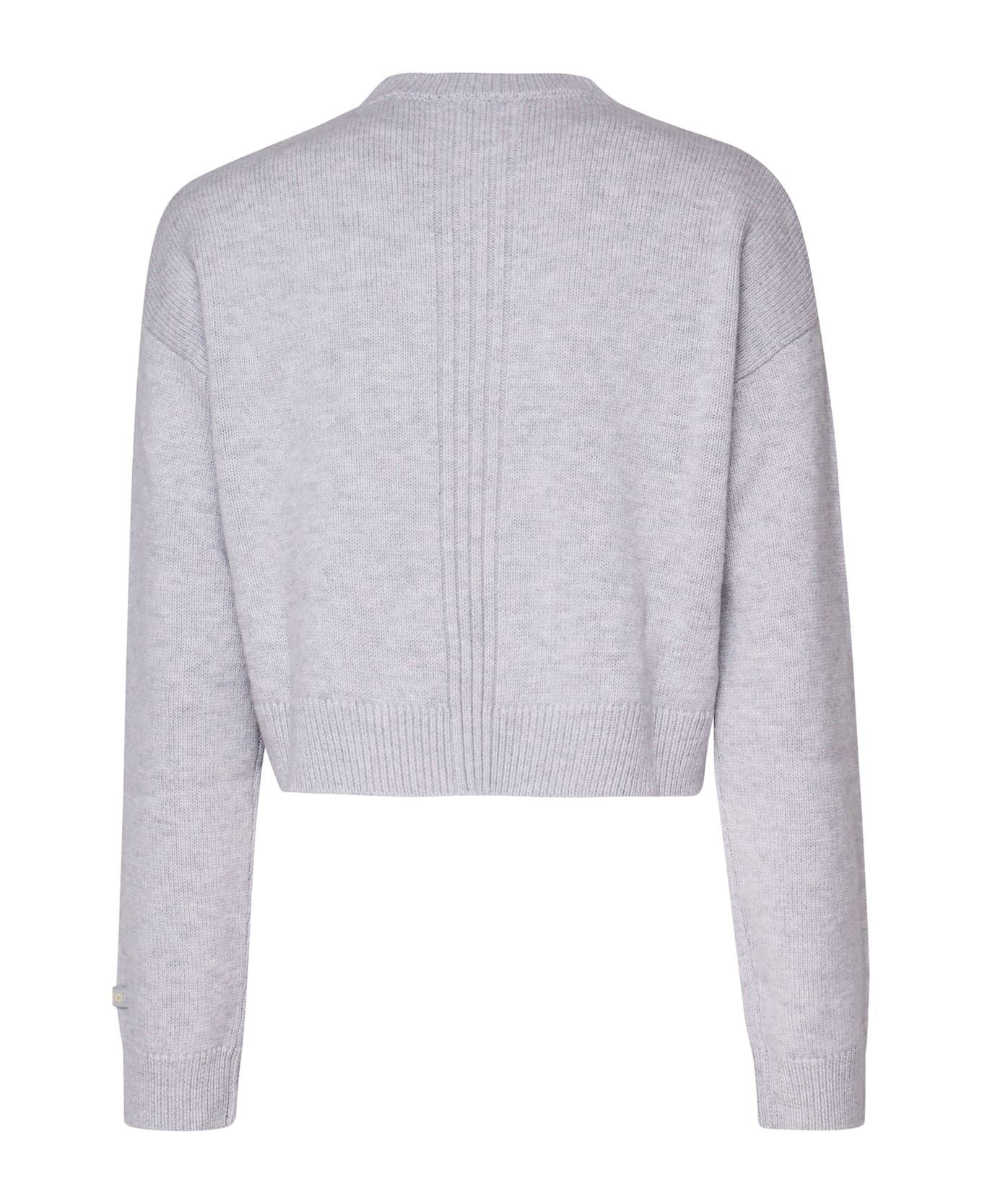 Pinko Kohona Sweatshirt - Grey