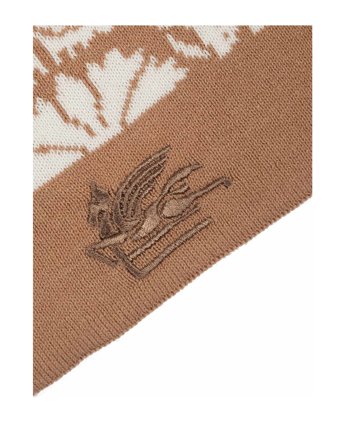 Etro Blanket - BROWN