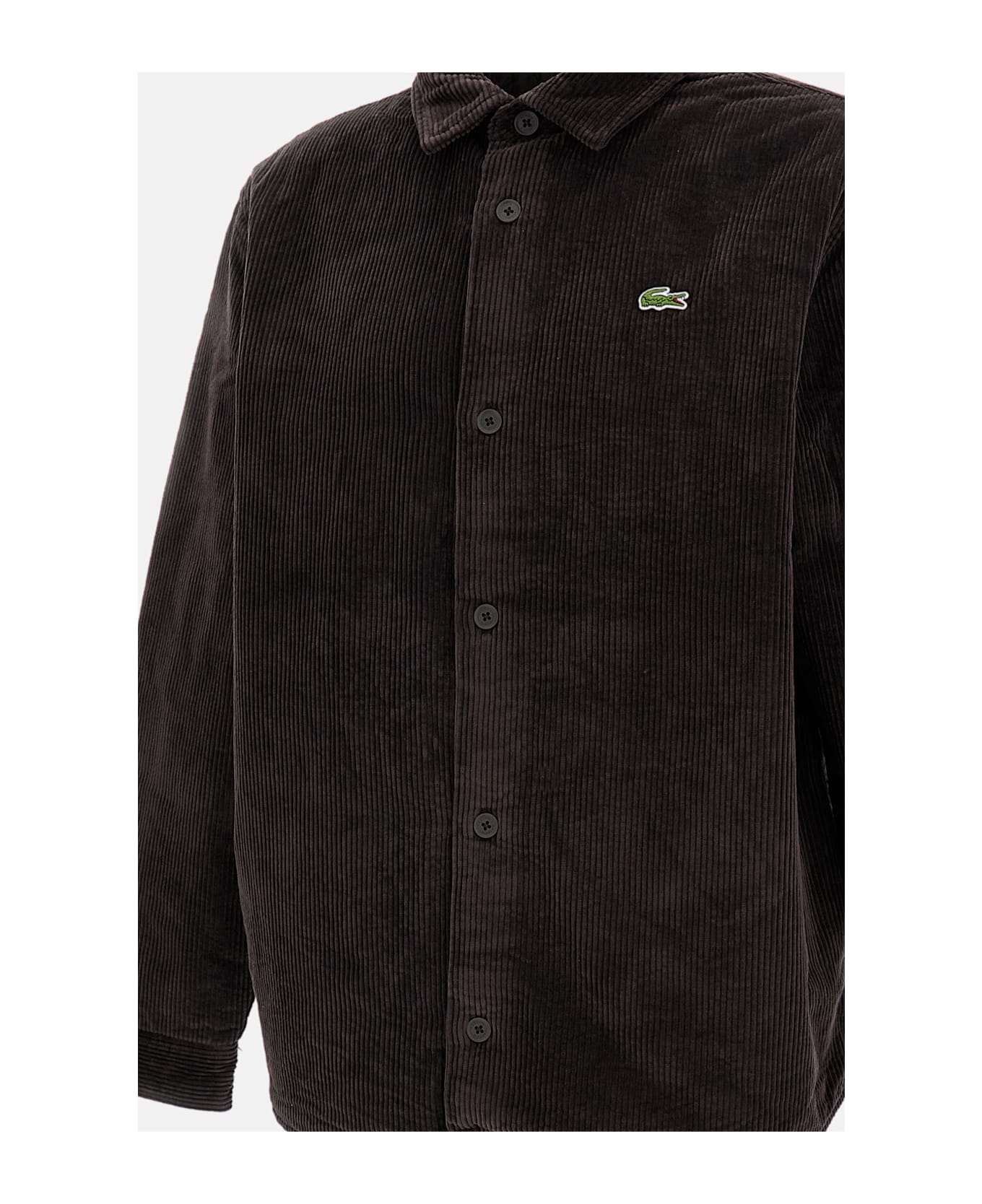 Lacoste Shirt - Brown