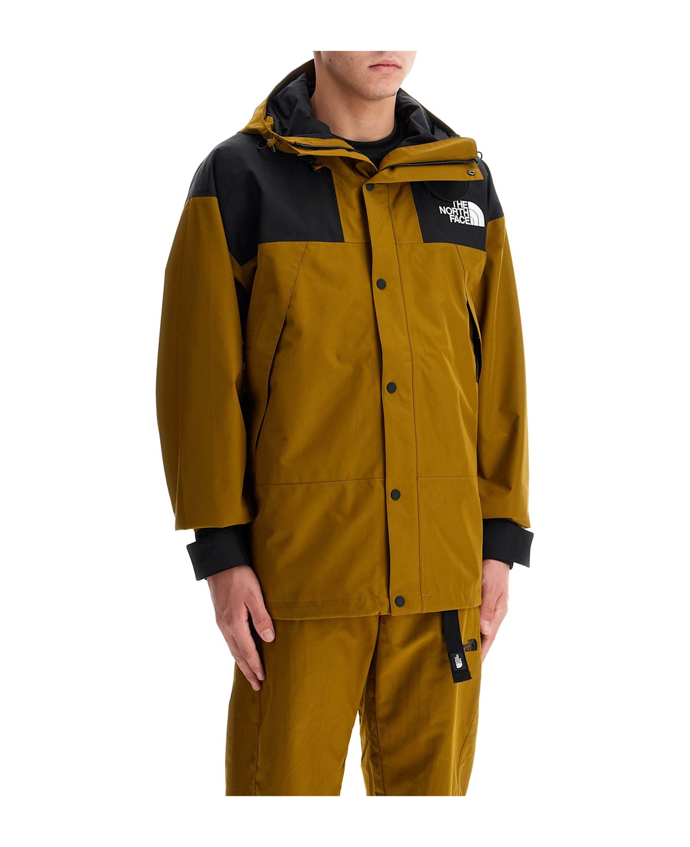 The North Face Mountain Gore-tex Jacket | italist