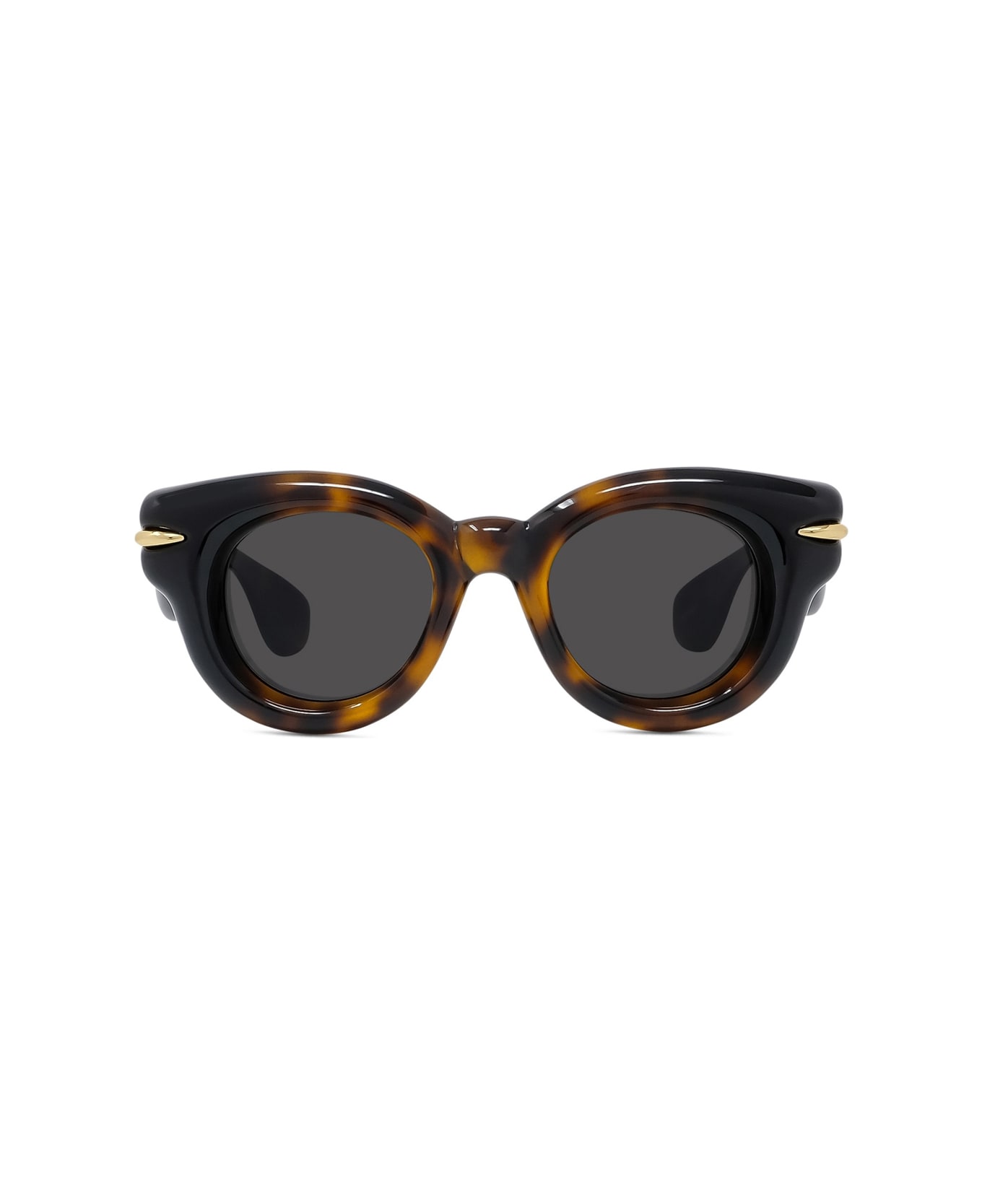 Loewe Lw40118i Signature 52a Havana Sunglasses - Marrone