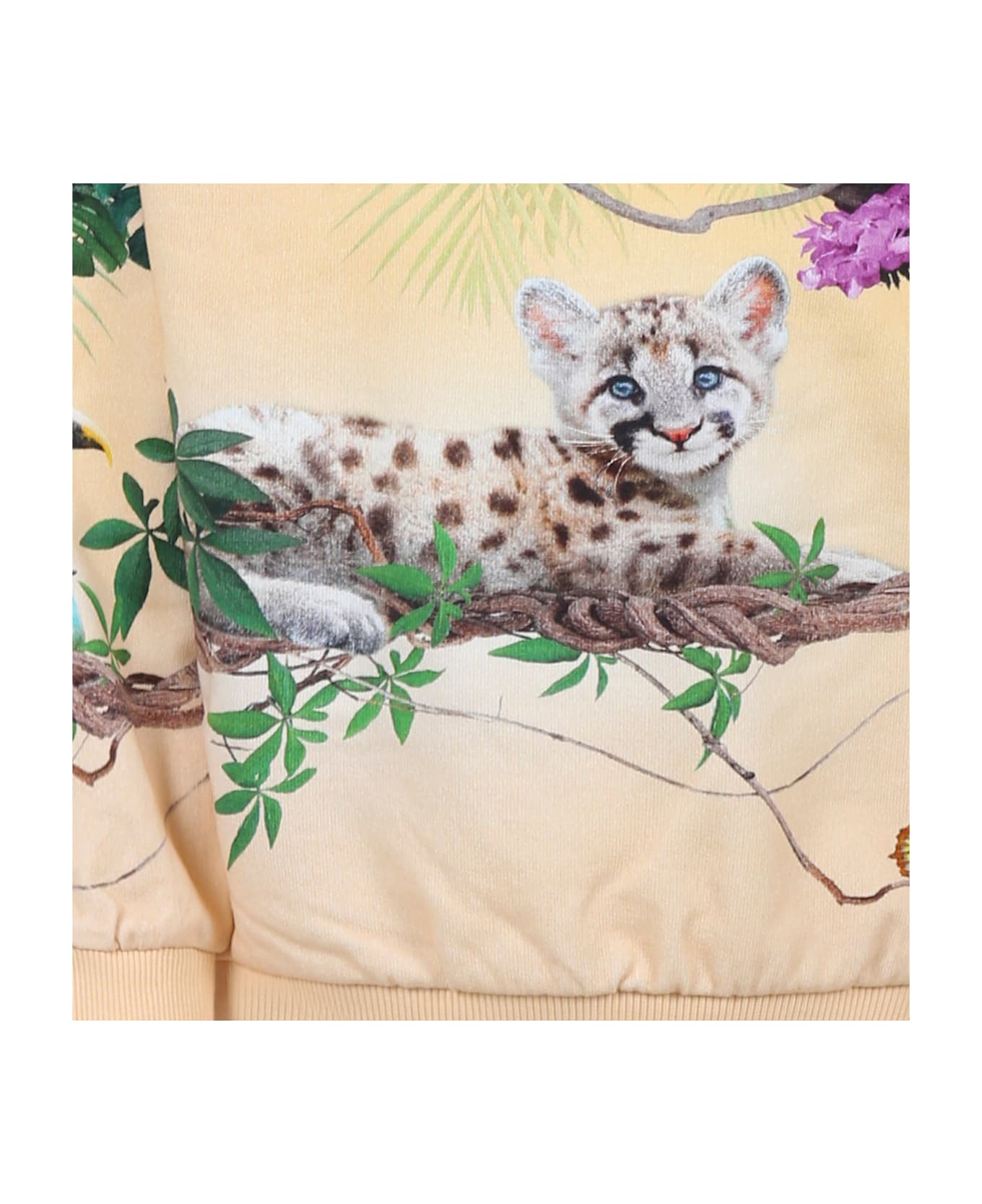 Molo Pink Sweatshirt For Girl With Puma - Pink