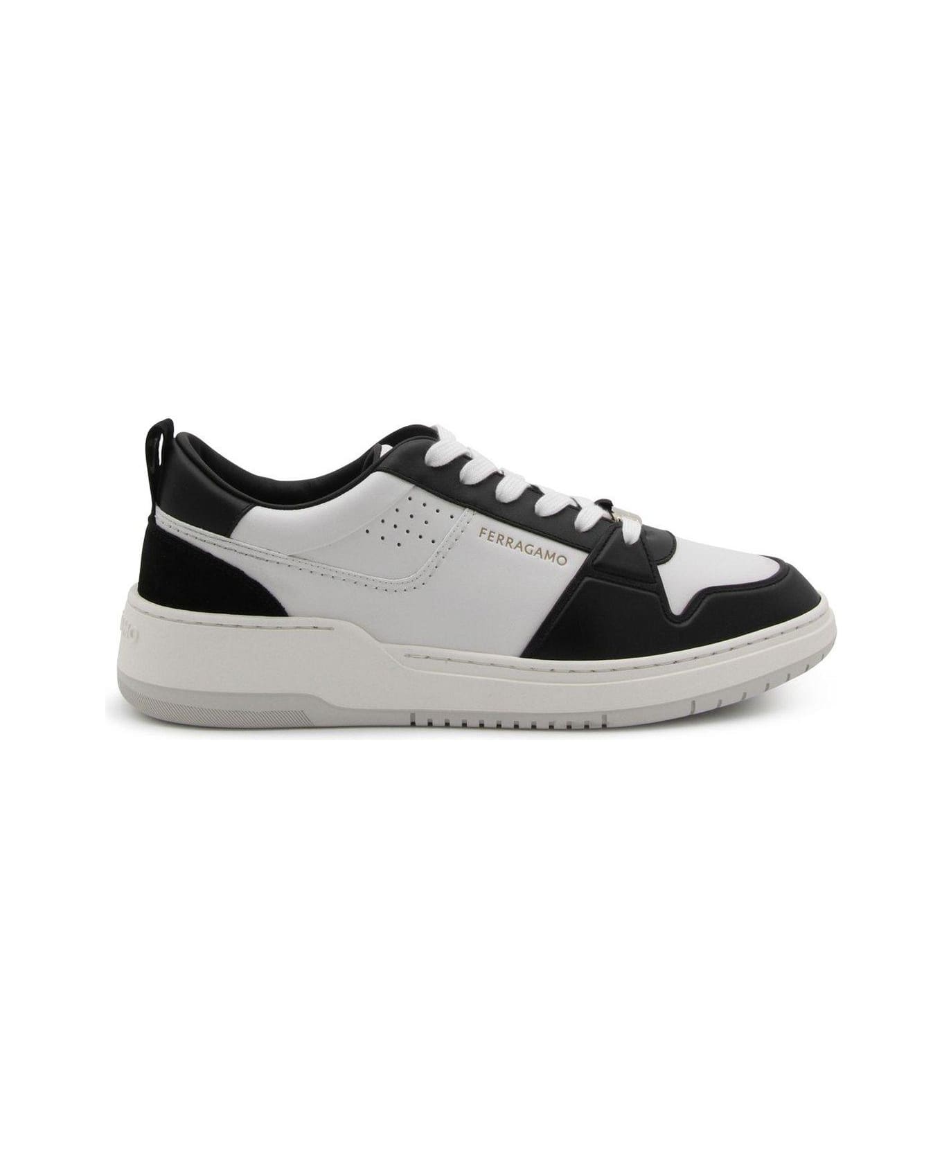 Ferragamo Two-toned Low-top Sneakers - BLACK/WHITE