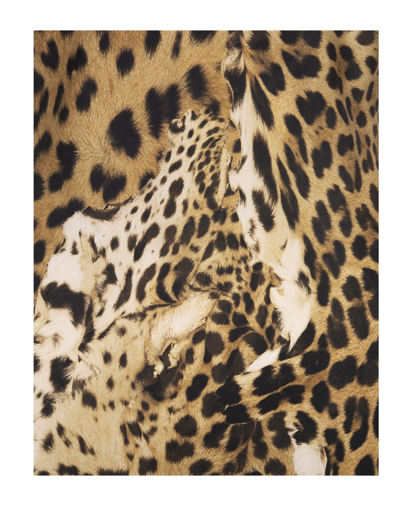 Roberto Cavalli Lingerie Dress With Leopard Print - Brown