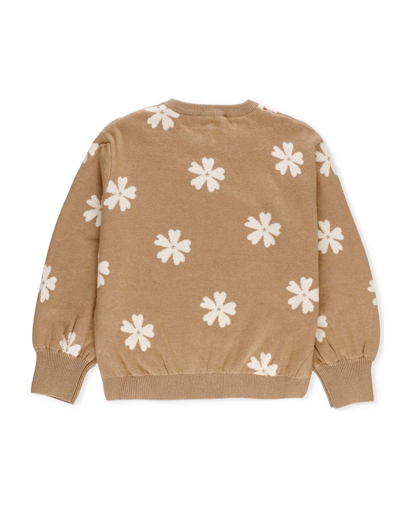 Chloé Cotton And Wool Sweater - Brown