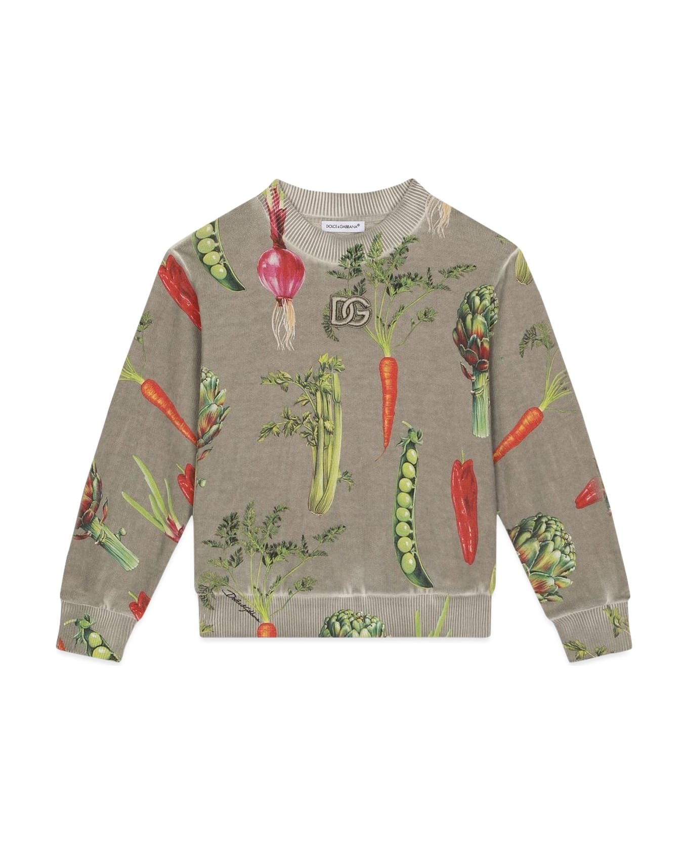 Dolce & Gabbana Crewneck Sweatshirt - MULTICOLOR