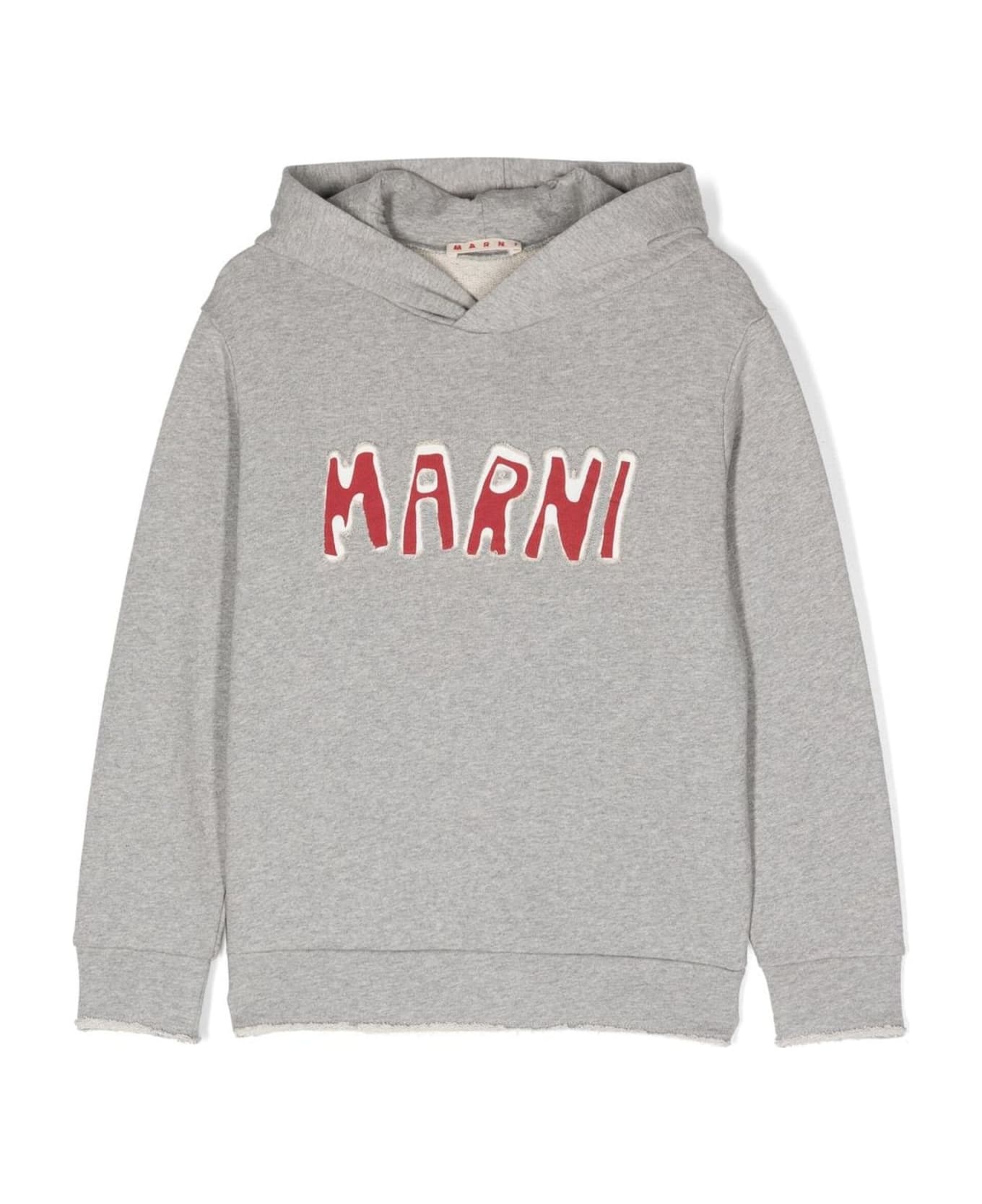 Marni Sweaters Grey - Grey