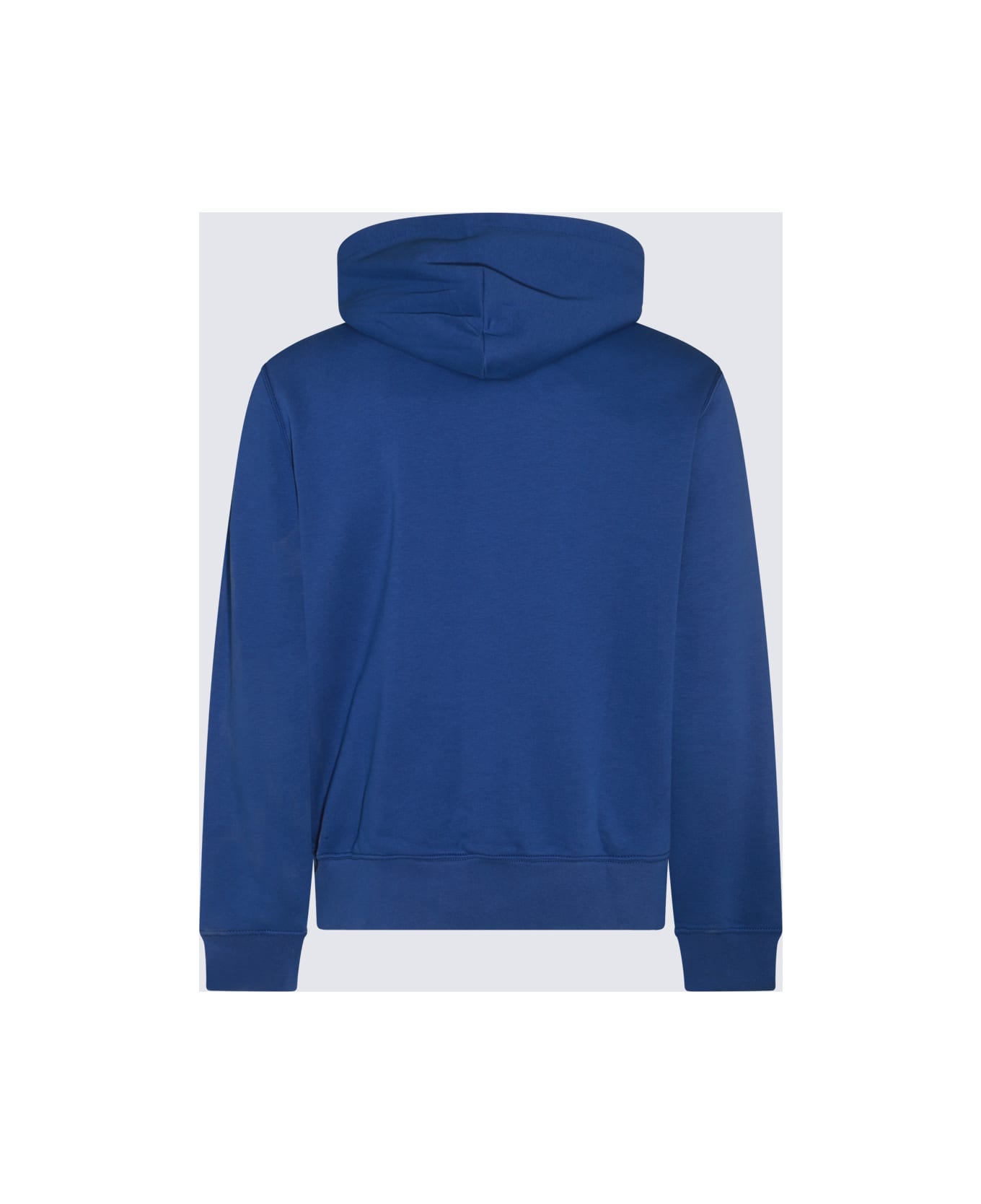 Polo Ralph Lauren Blue Cotton Sweatshirt - SP24 BEACH ROYAL HRTG BEAR