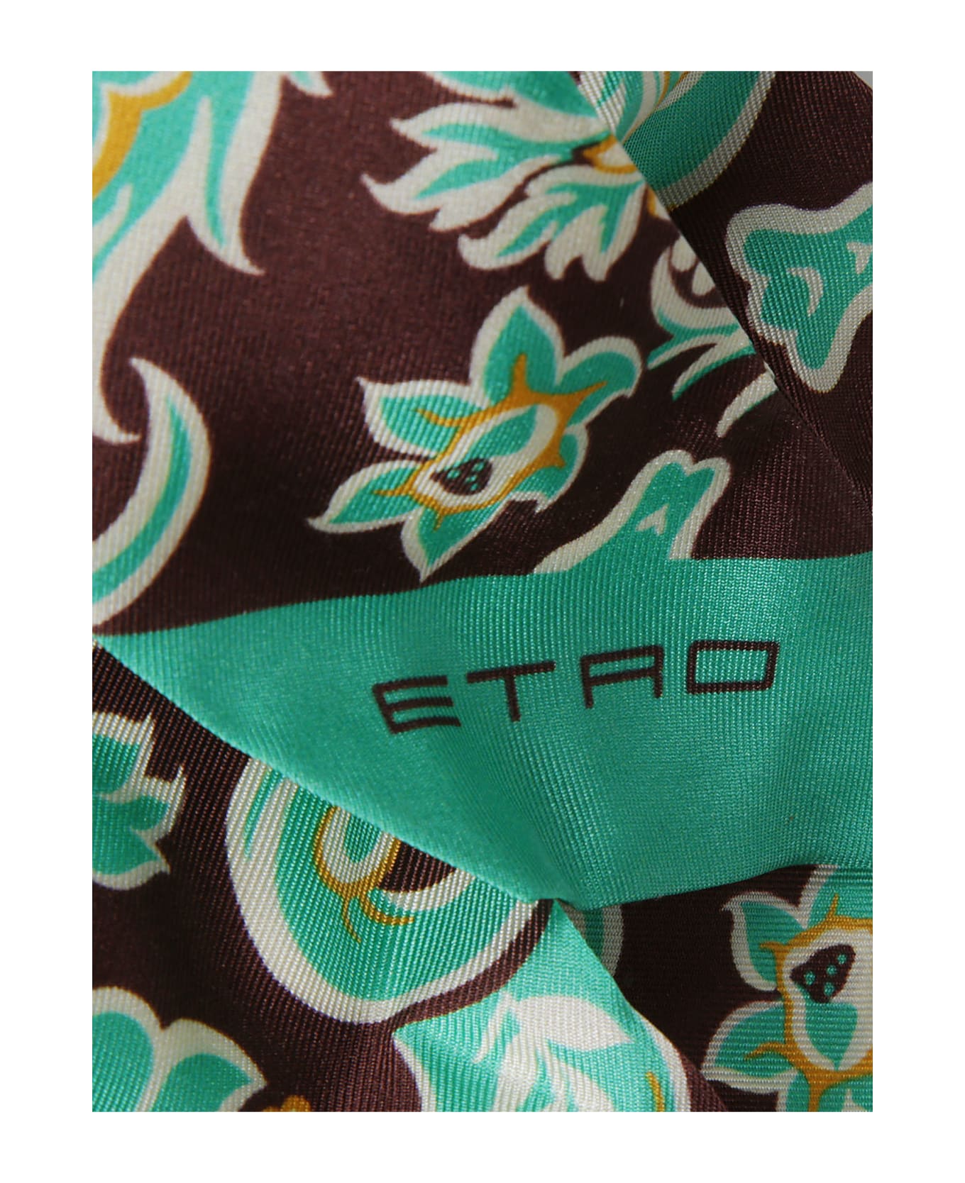 Etro Logo Floral Scarf - Green/Brown