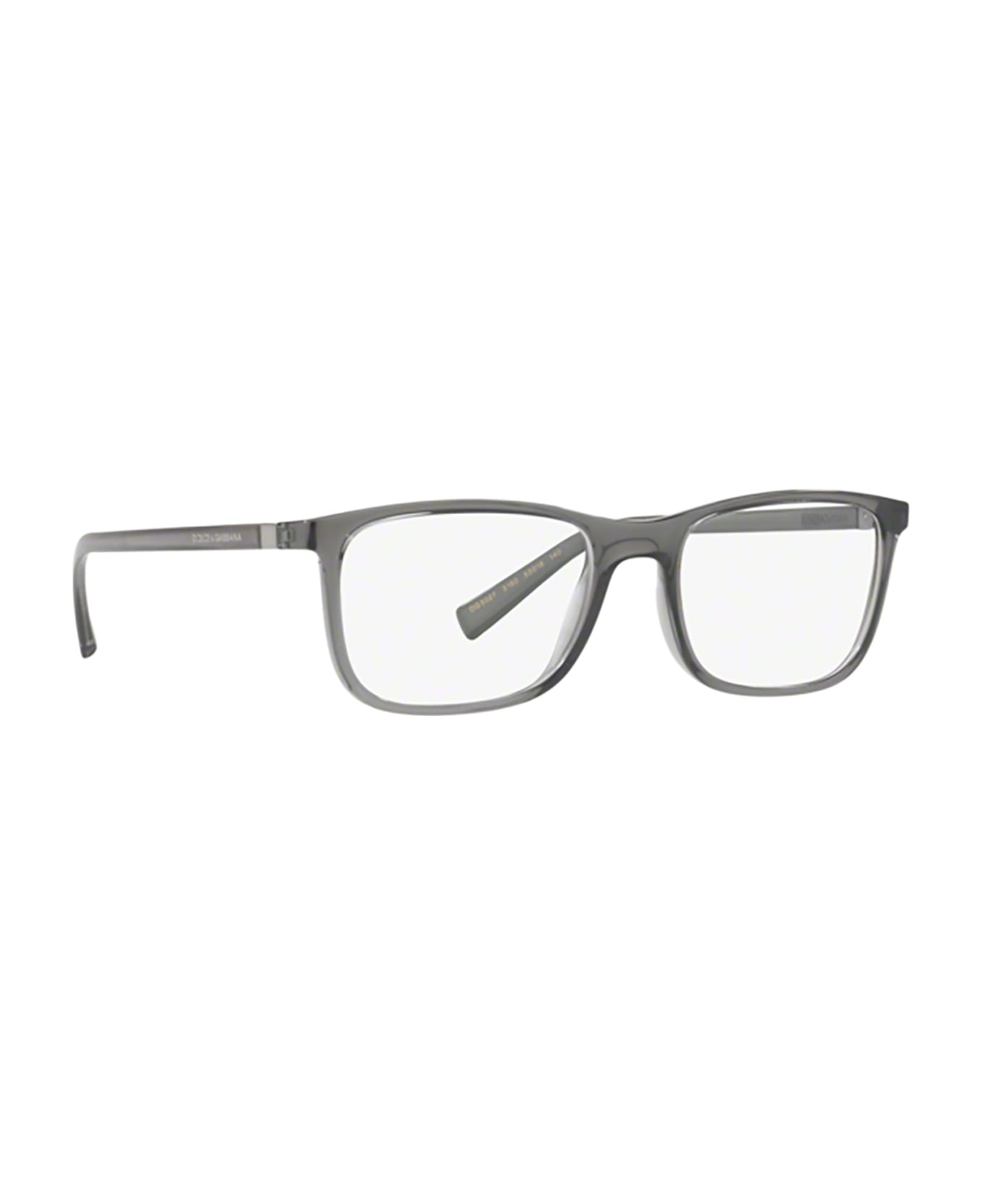 Dolce & Gabbana Eyewear Dg5027 Transparent Grey Glasses - TRANSPARENT GREY アイウェア