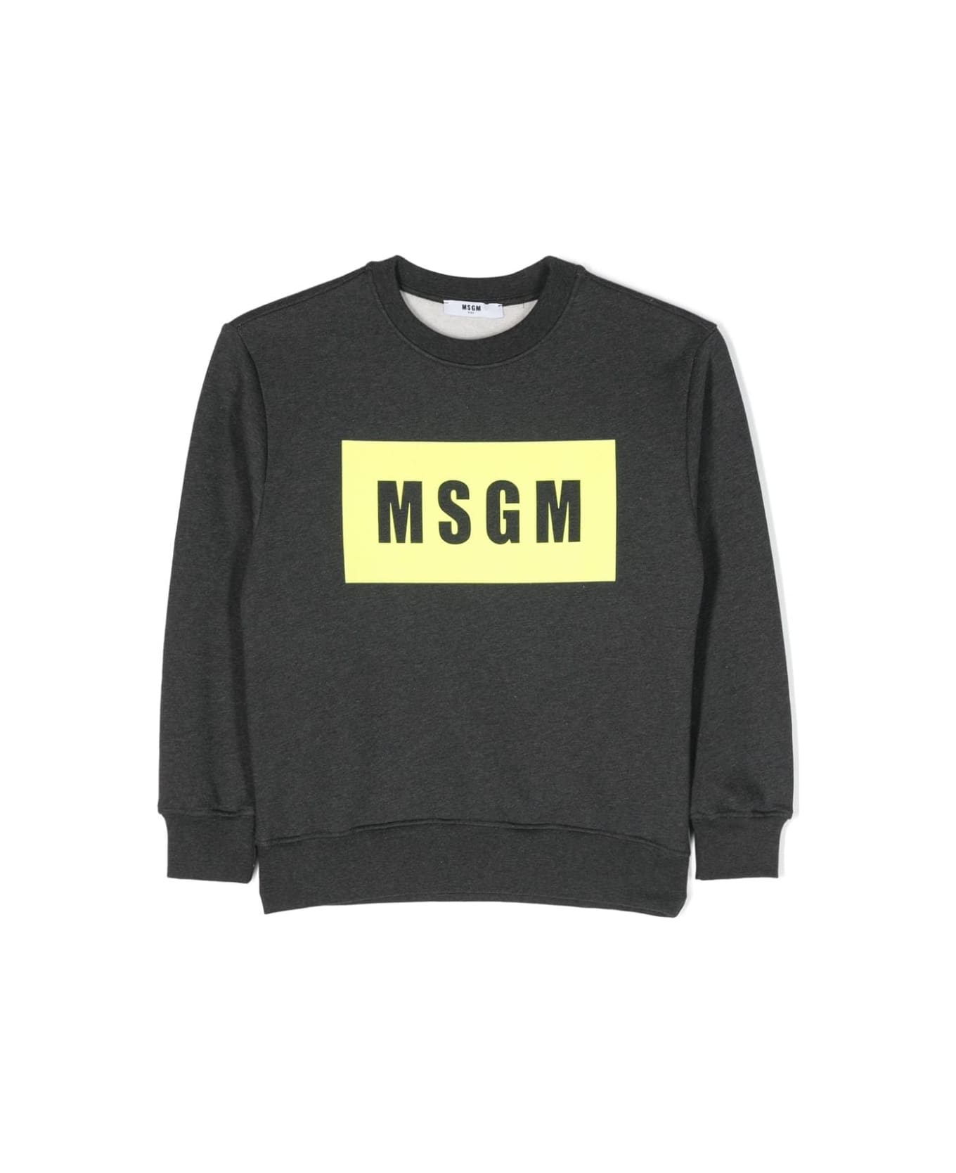 MSGM Sweatshirt With Print - Grigio