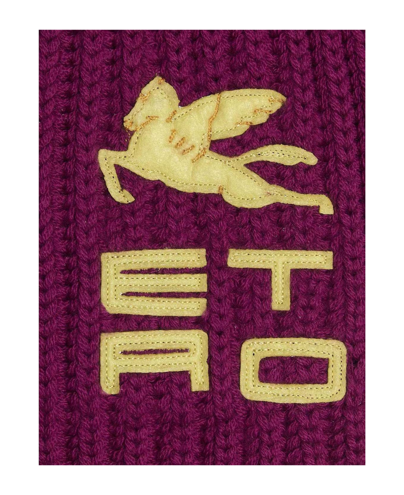 Etro Tricot Logo Scarf - Fuchsia