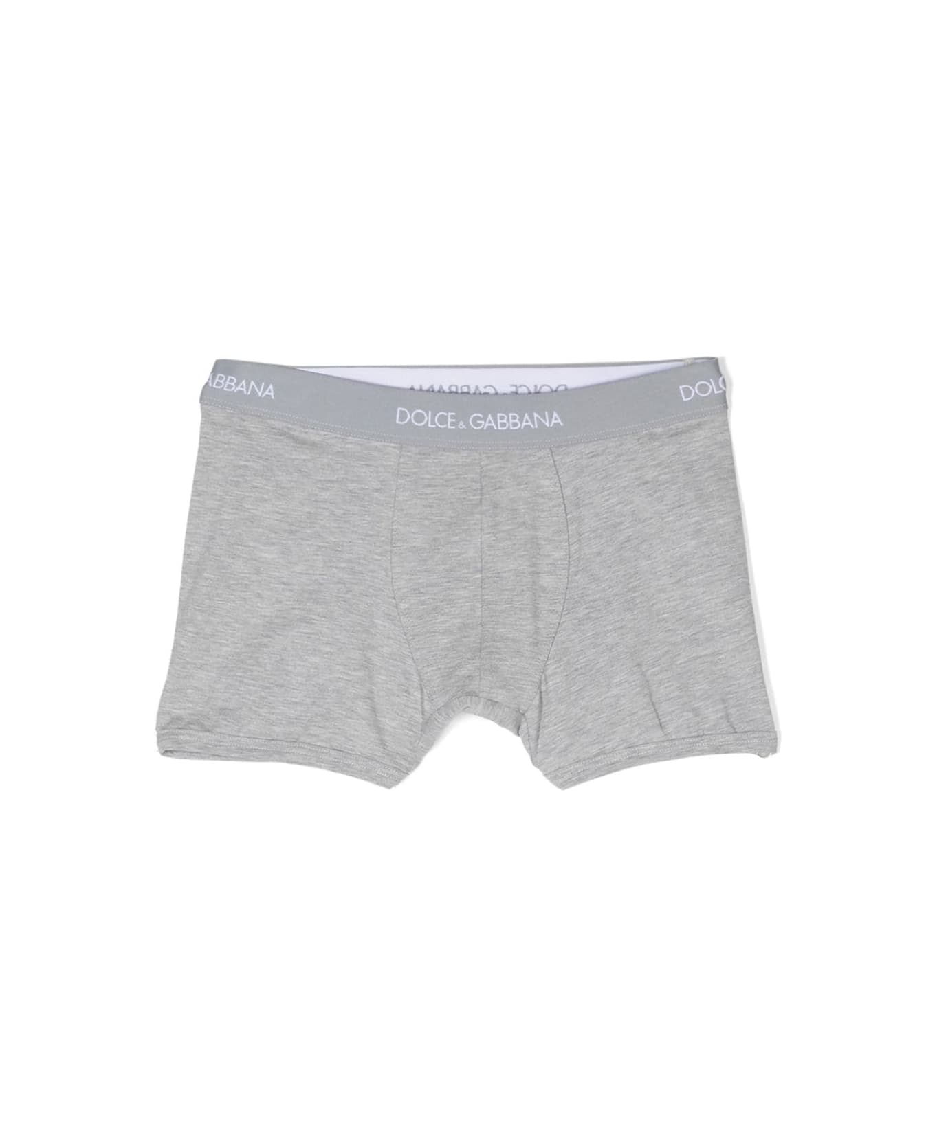 Dolce & Gabbana Set Of 2 Briefs With Logo - Gray アンダーウェア