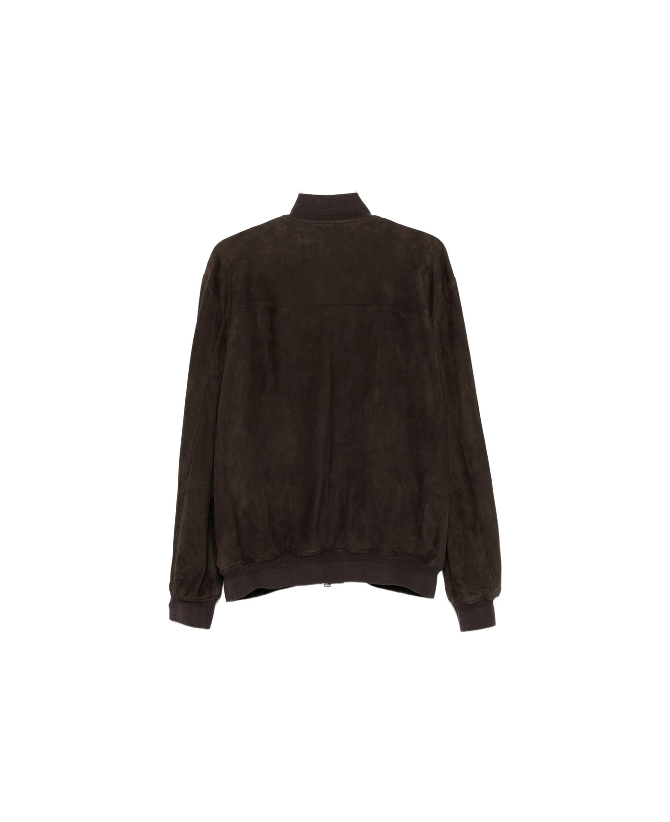 Canali Outerwear - BROWN