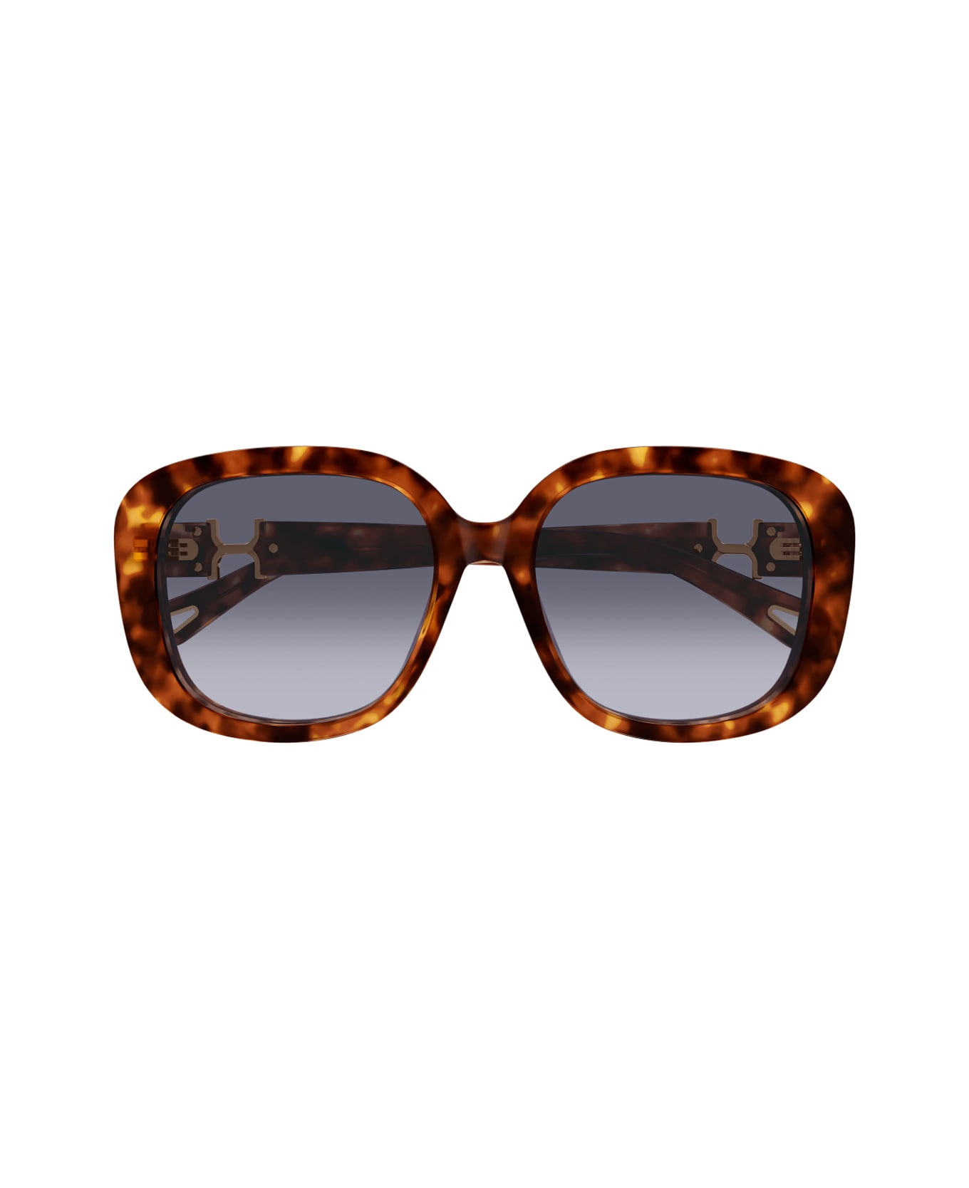 Chloé Ch0303sk Marcie-linea Chloé 002 Havana Violet Sunglasses - Havana