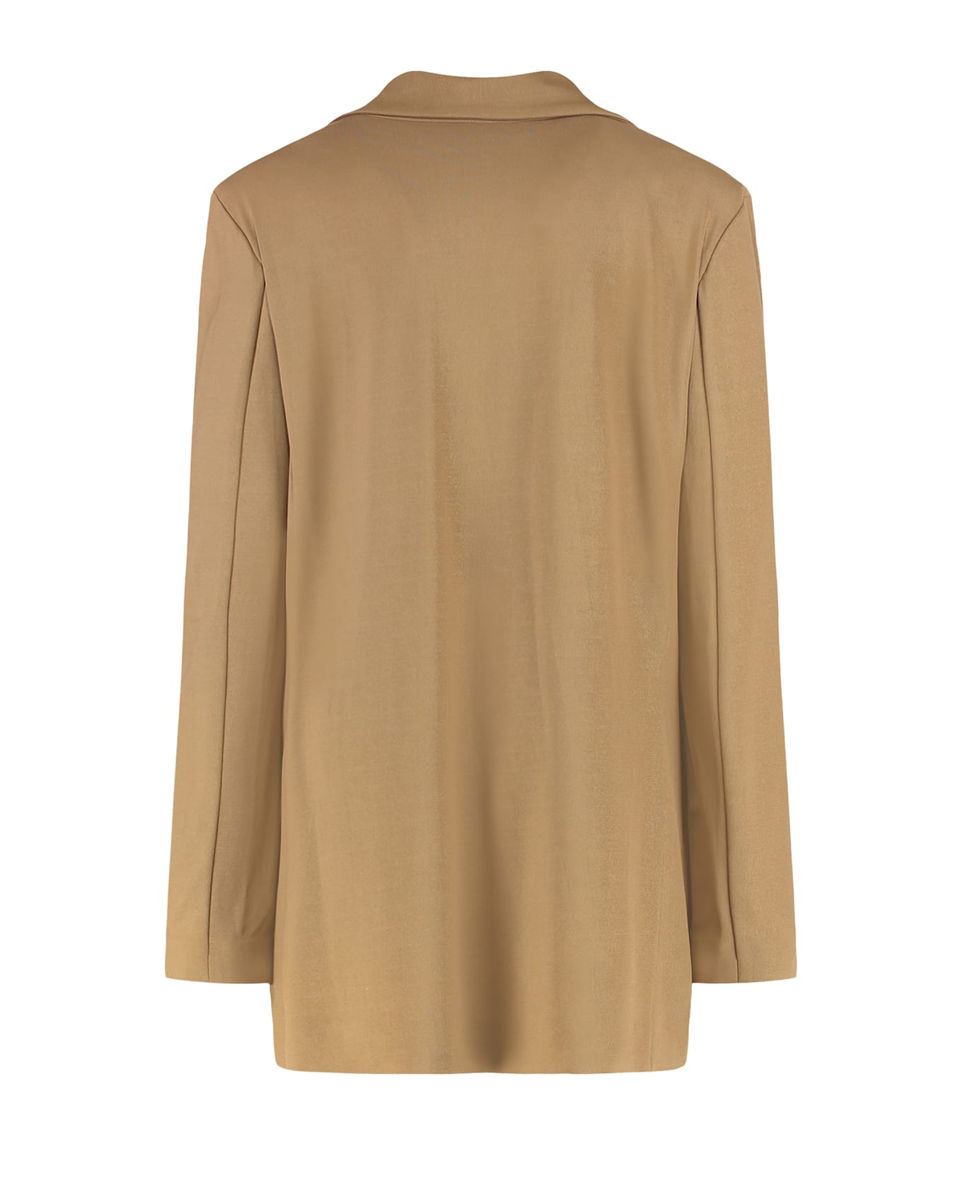 Alberta Ferretti Single-button Blazer - Camel