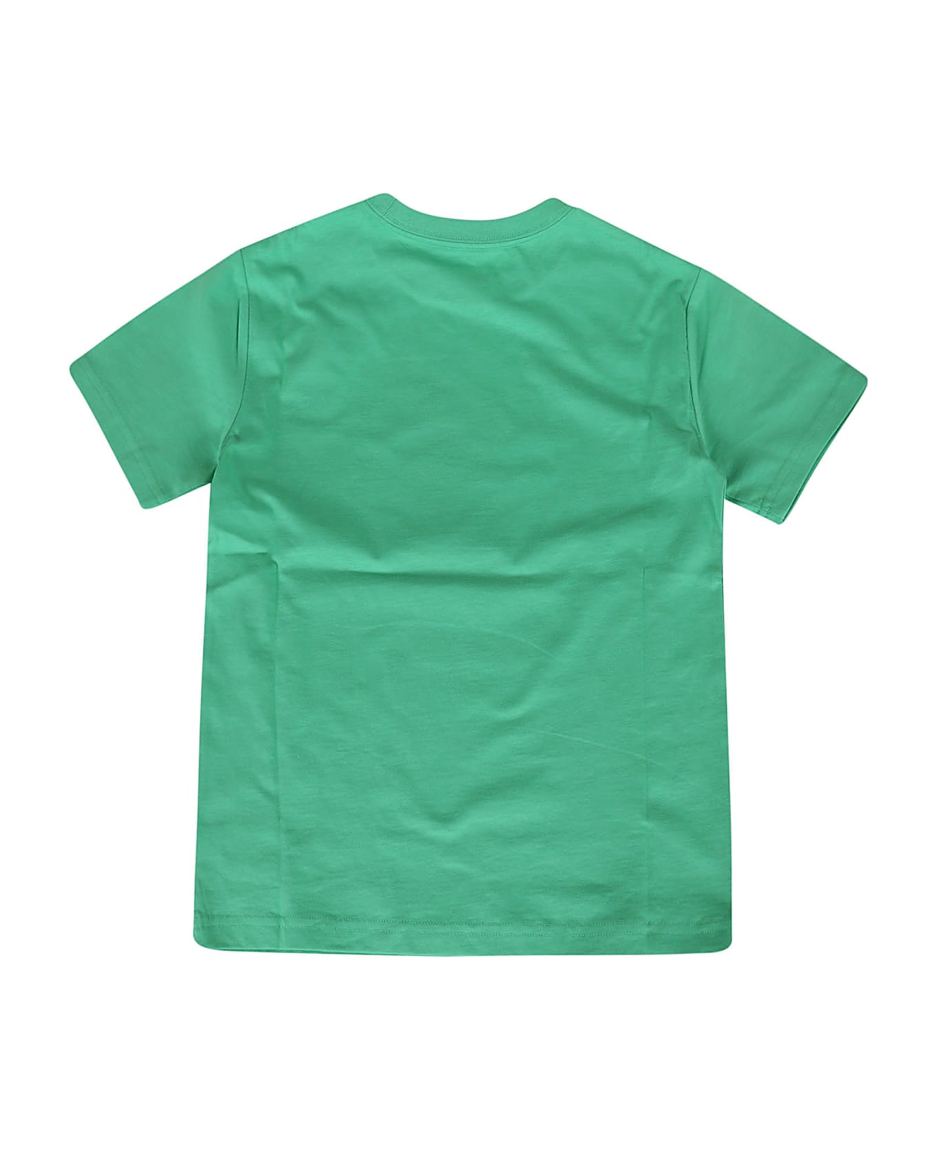 Ralph Lauren Ss Cn-knit Shirts-t-shirt - Bear Vineyard Green